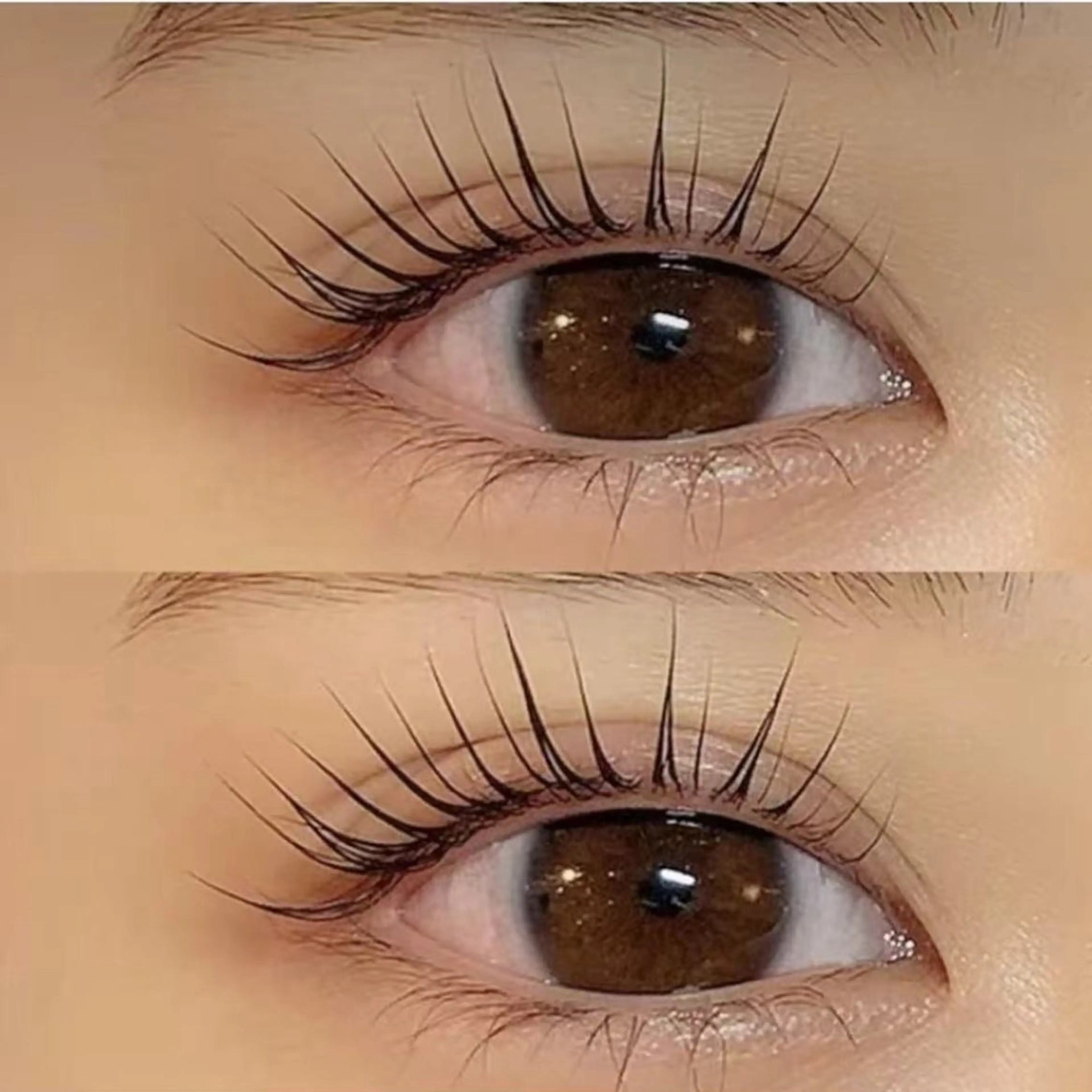 大人気🍭🍥マスカラパリジェンヌ🍡🍙ブラックコテインぐ染め付け高級長持ちテンドの写真