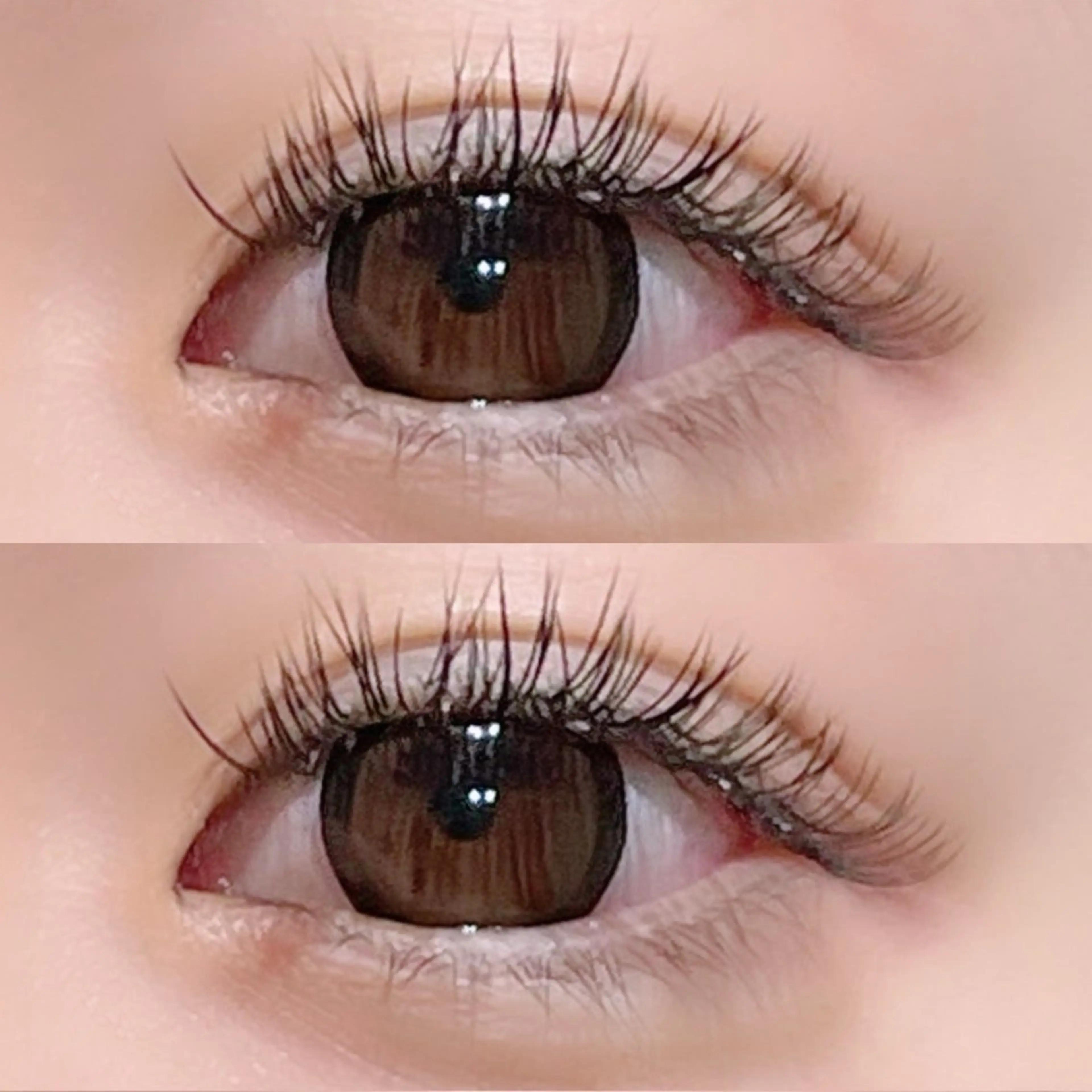 マツエク・マツパ マツエク Plus  Elima所属・Plus Elima / MORIのマツエク・マツパデザイン