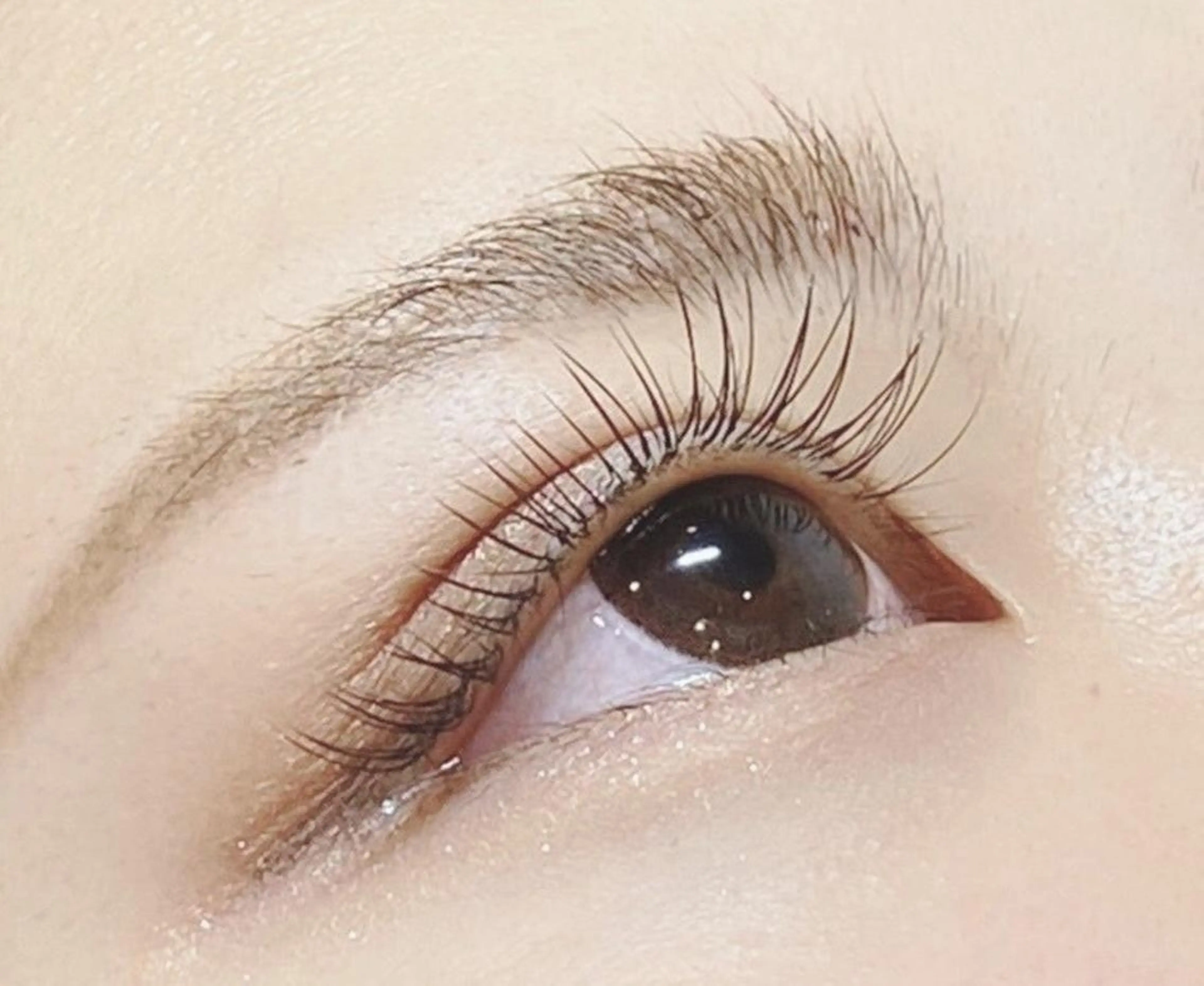 初回オフ無料☆フラットorセーブル 100本 （フラット+¥500)※再来+¥500の写真