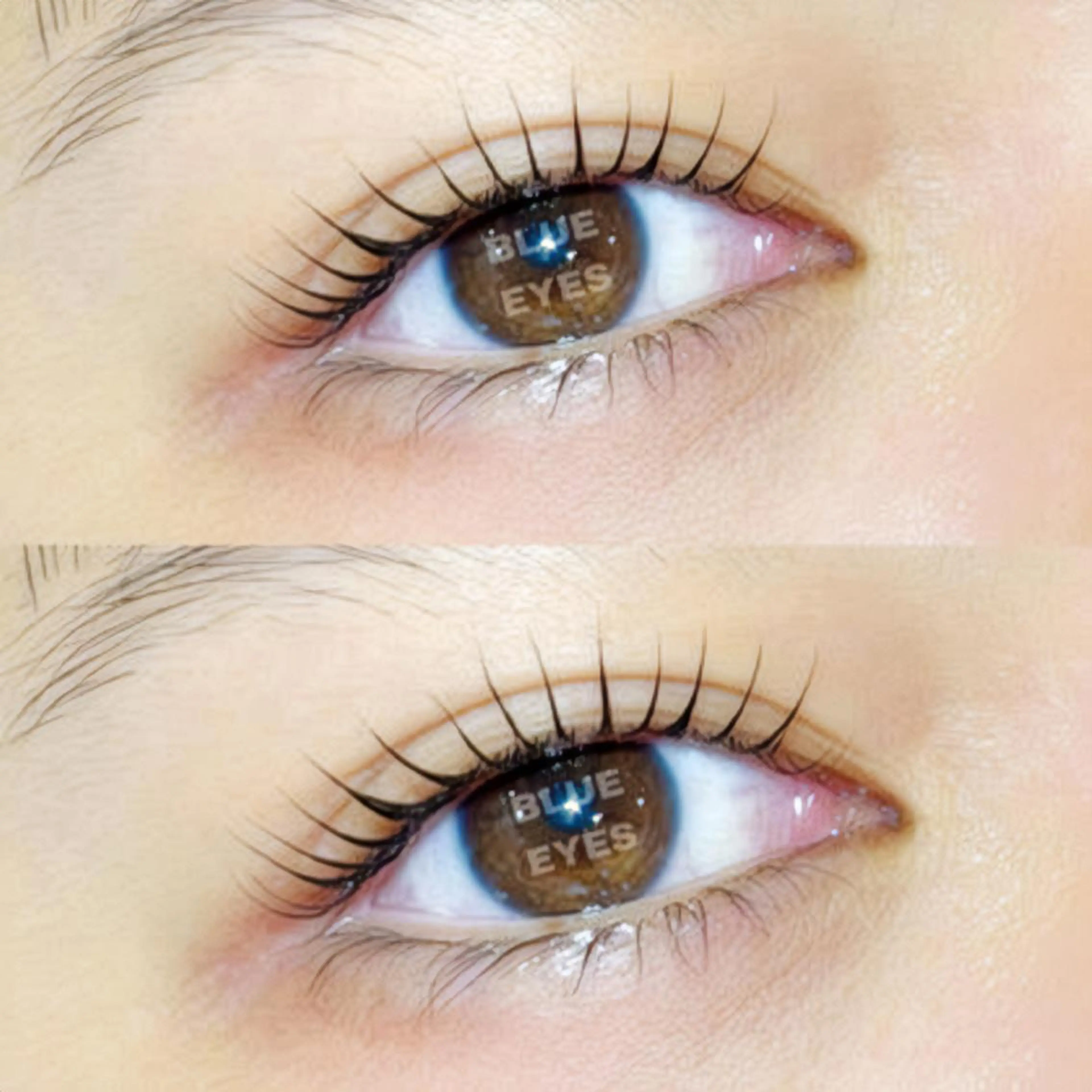 マツエク・マツパ ayaka /Lits.表参道の眉毛・アイブロウイメージ