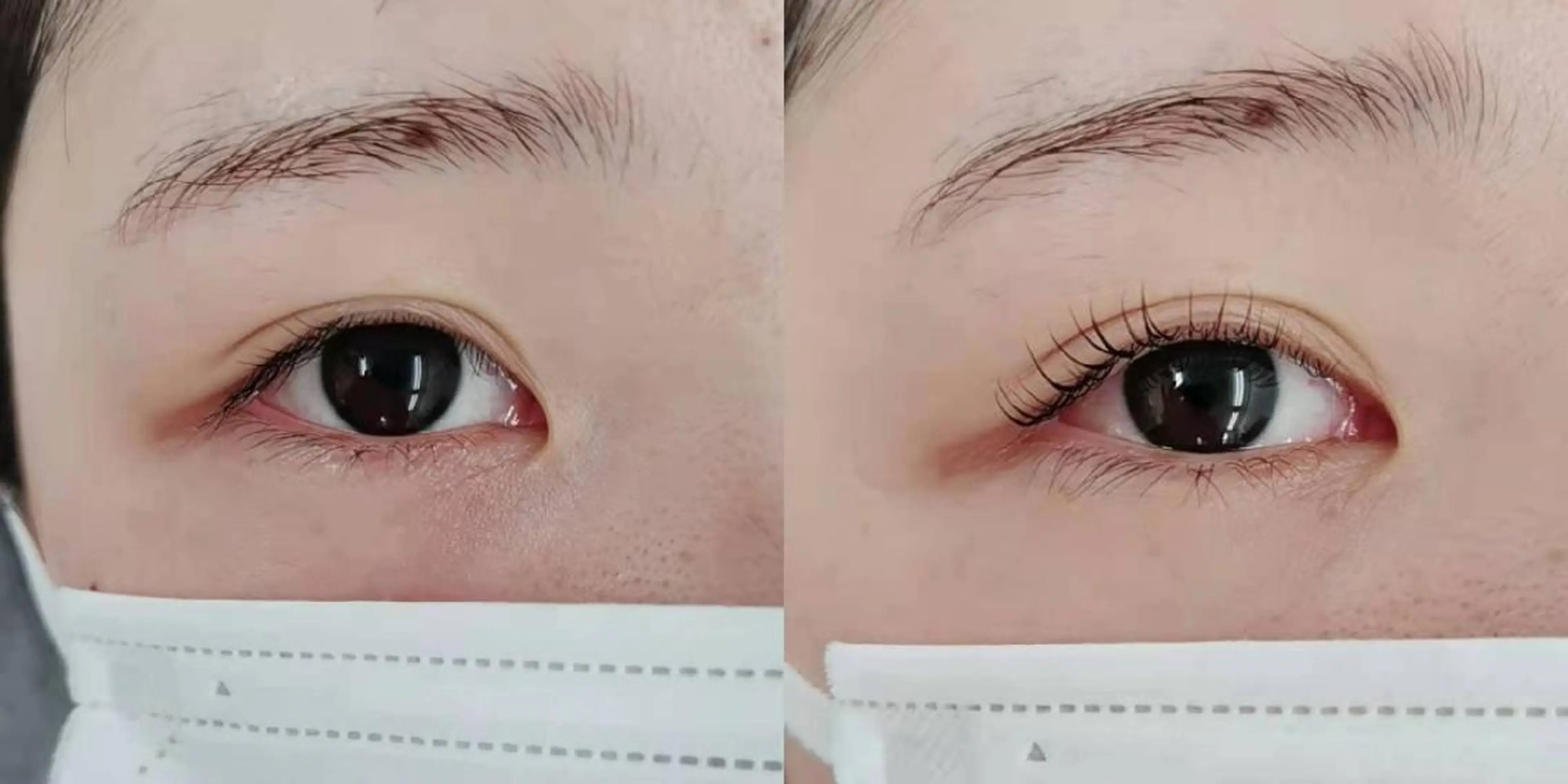 マツエク・マツパ まつげパーマ 胡蝶蘭レディースサロ ン眉マツパエクステの眉毛・アイブロウイメージ