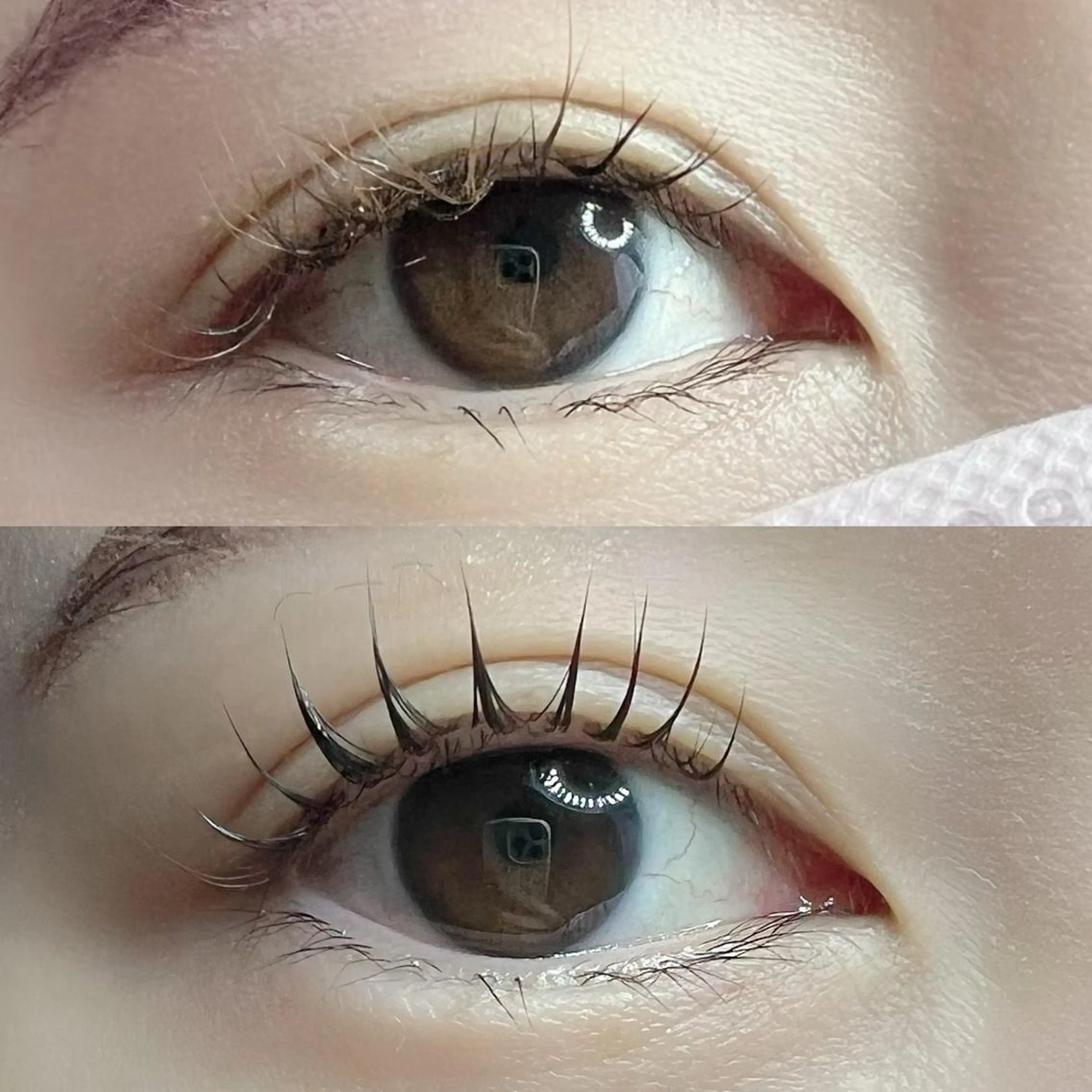 マツエク・マツパ パリジェンヌラッシュリフト chou chou シュシュのマツエク・マツパデザイン