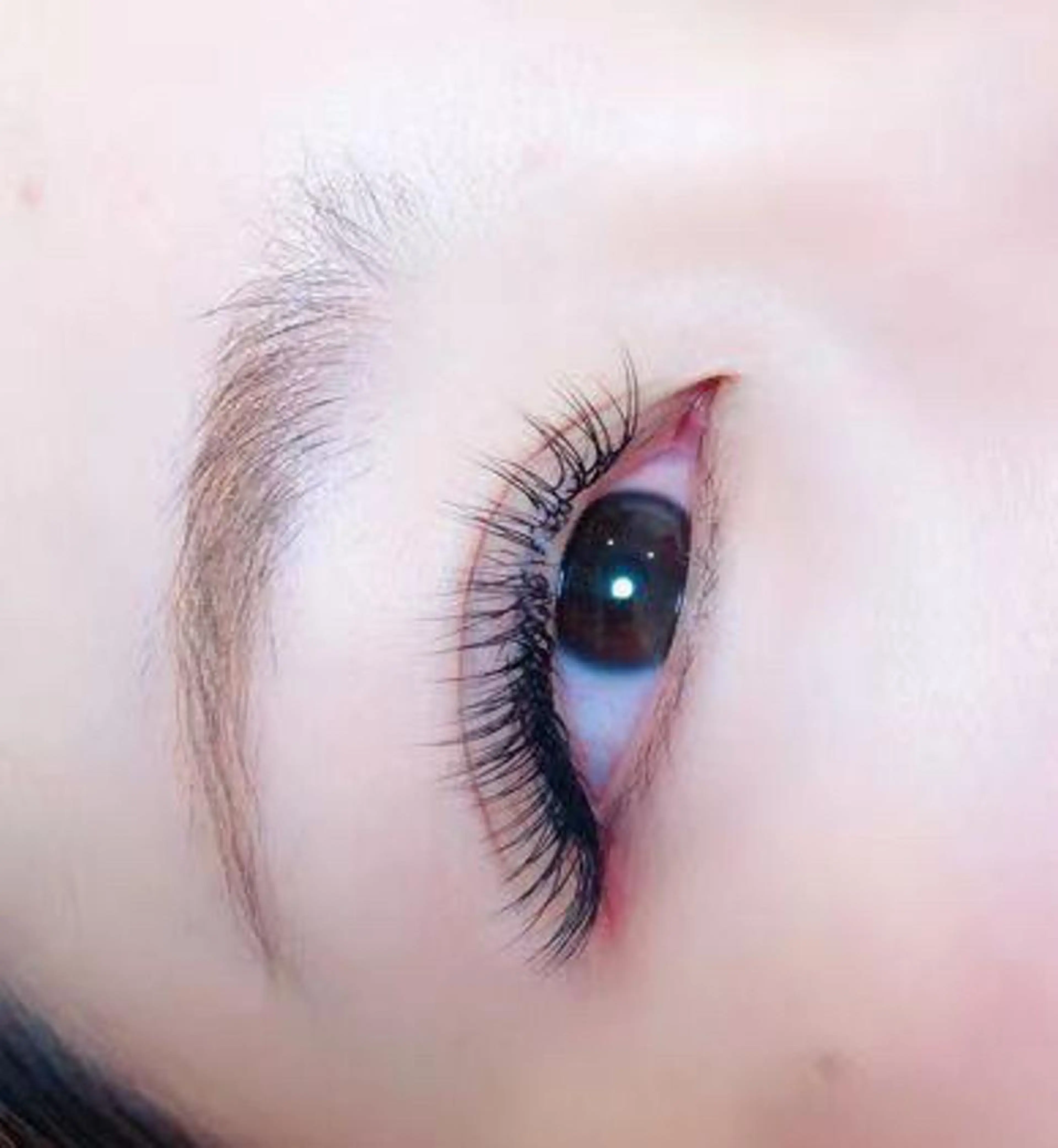 マツエク・マツパ Ali Beauty Salon 新小岩のマツエク・マツパデザイン