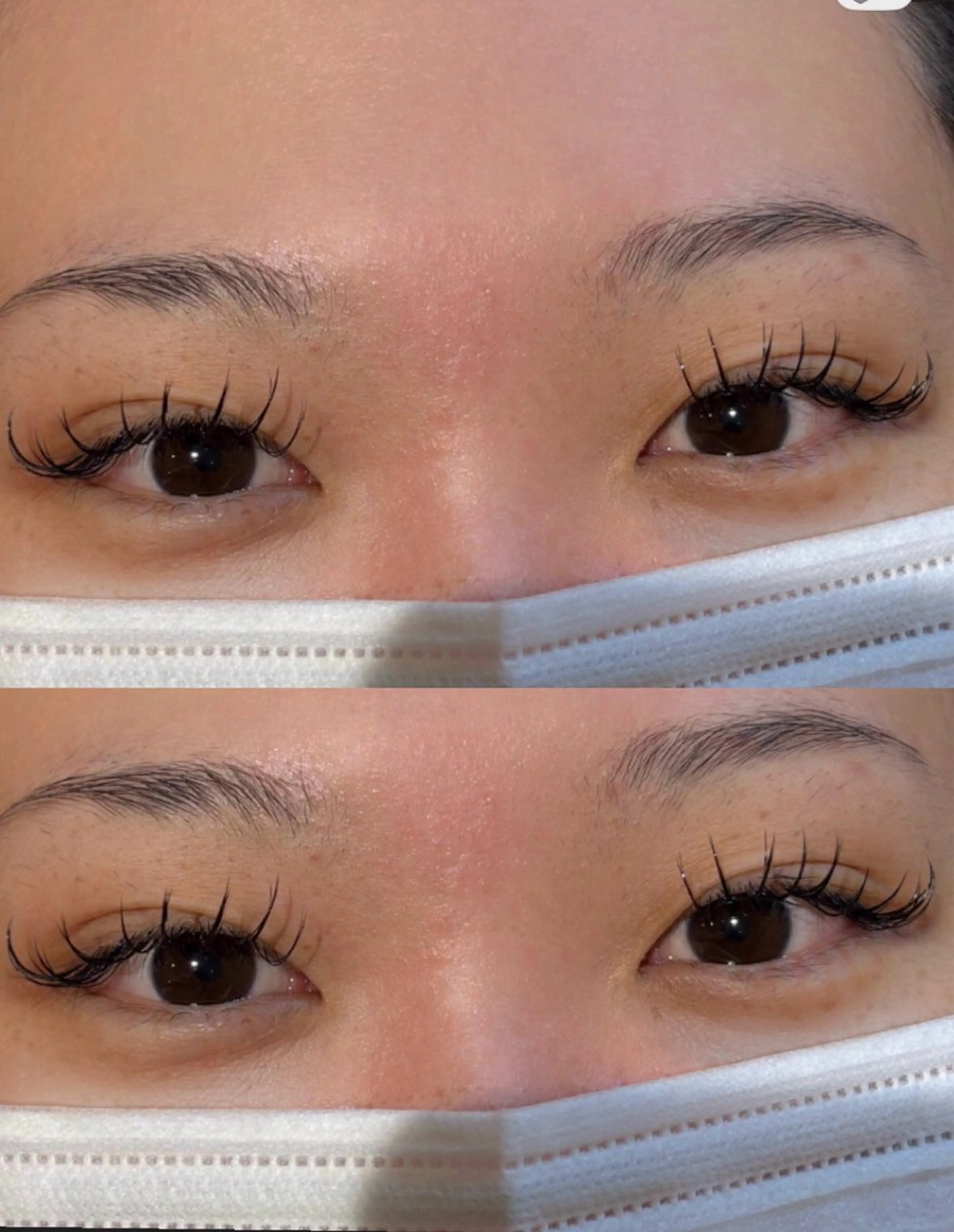 セーブル80本オフなし 付け足し不可(練習モデル)の写真