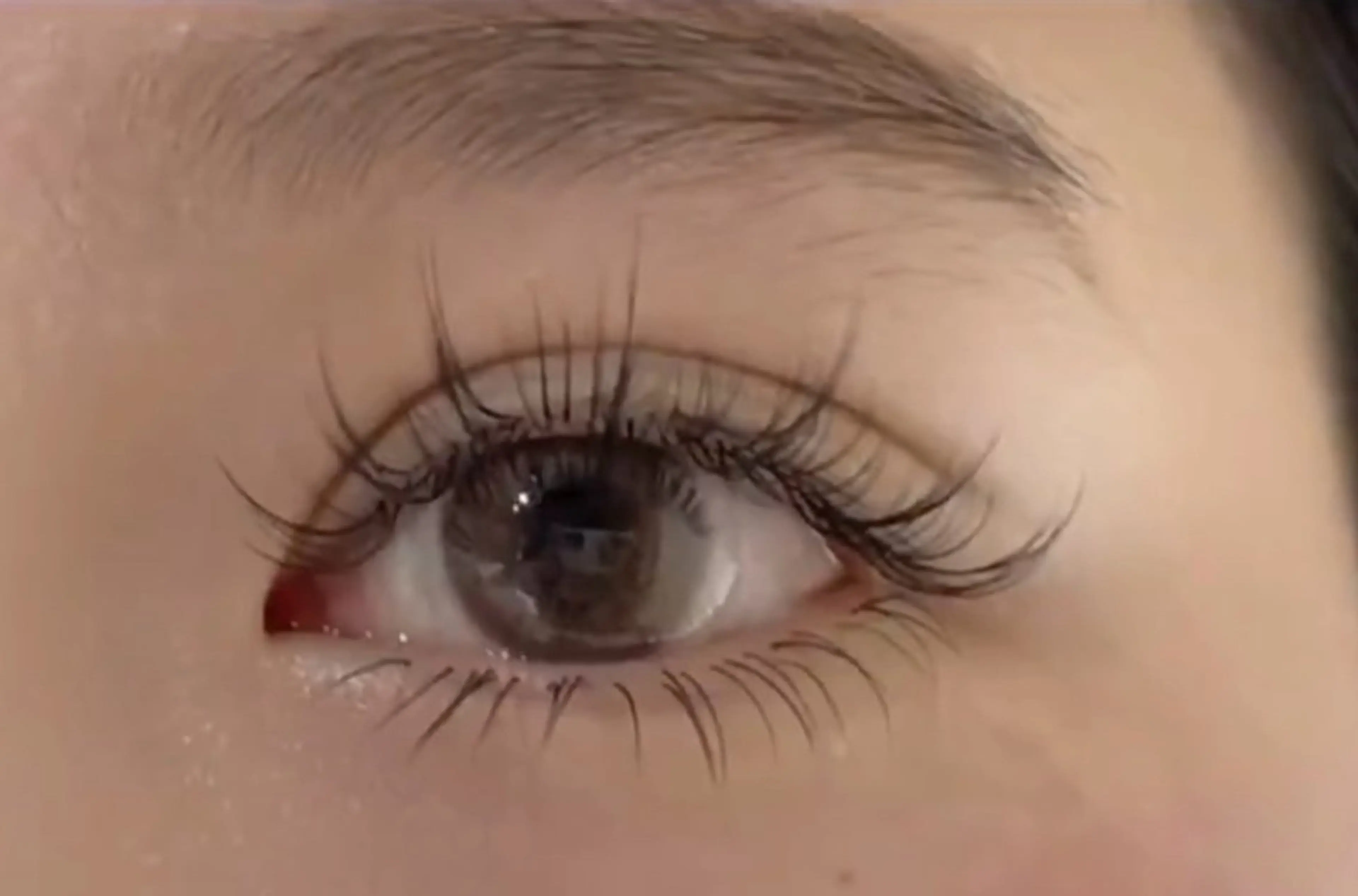 ワンホンデザインの写真