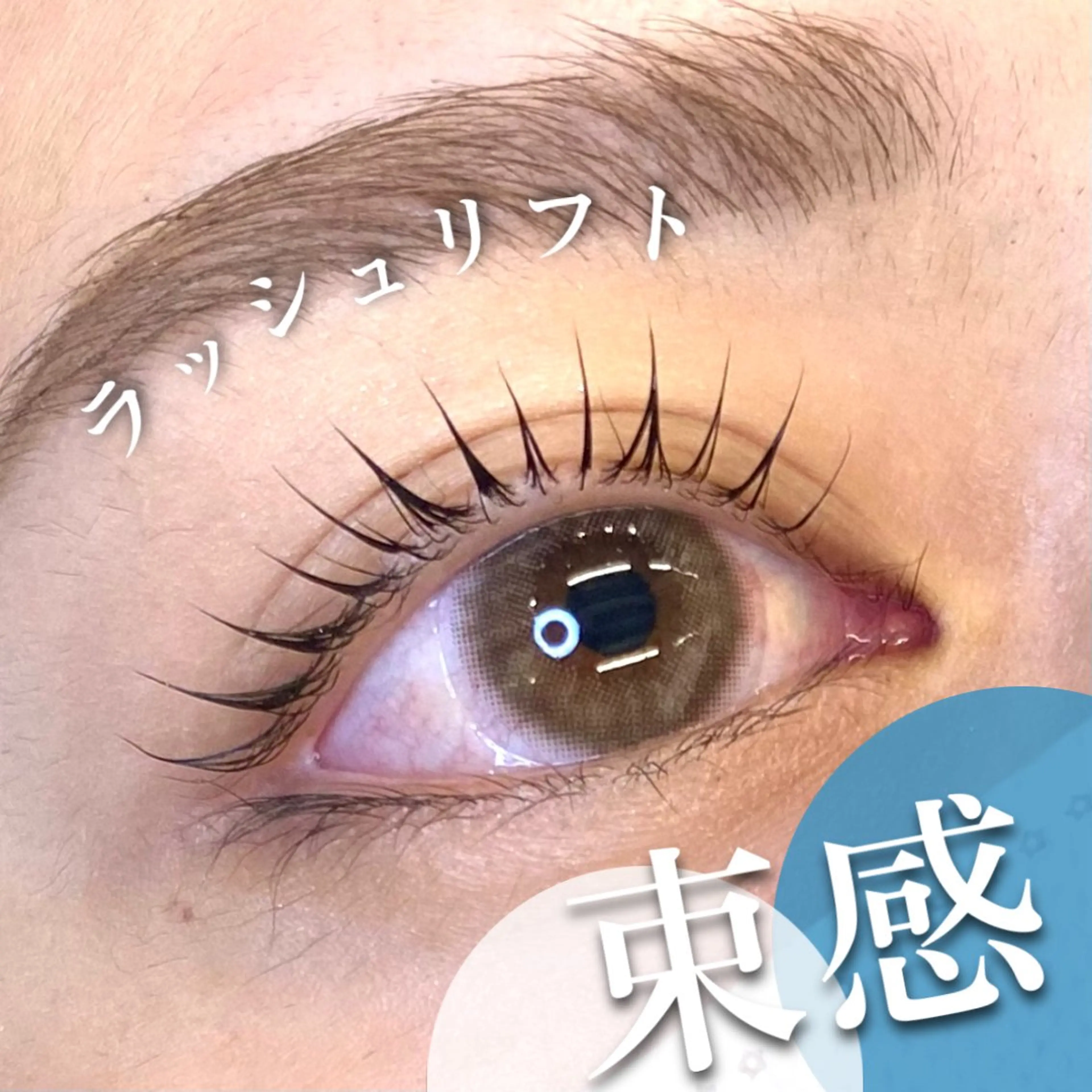 マツエク・マツパ 束感まつ毛 🦋eyelist 株 カブ🦋横浜のマツエク・マツパデザイン