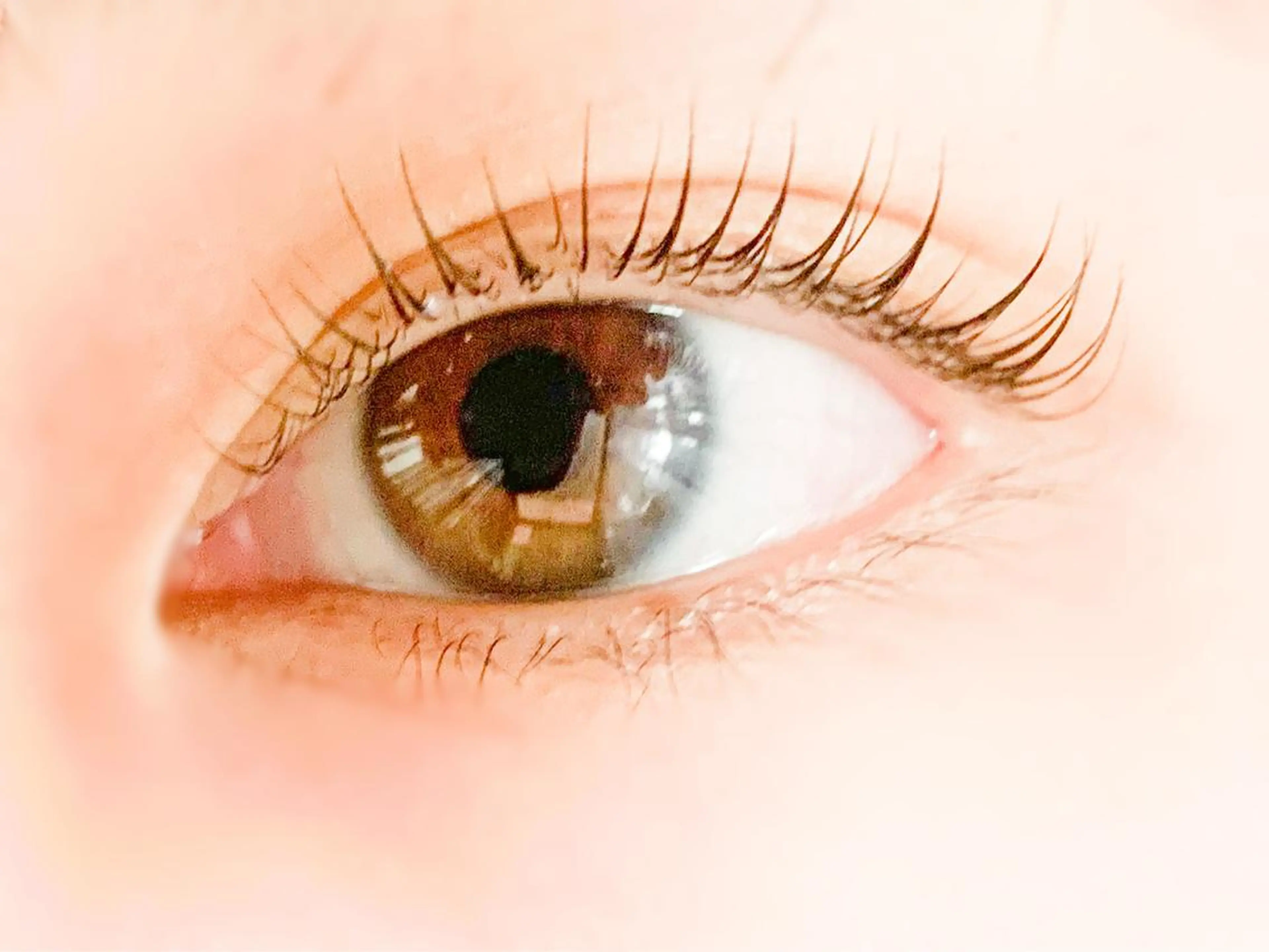 【人気No1】⭐️束感ラッシュリフト（まつ毛パーマ）×2stepケラチントリートメントの写真