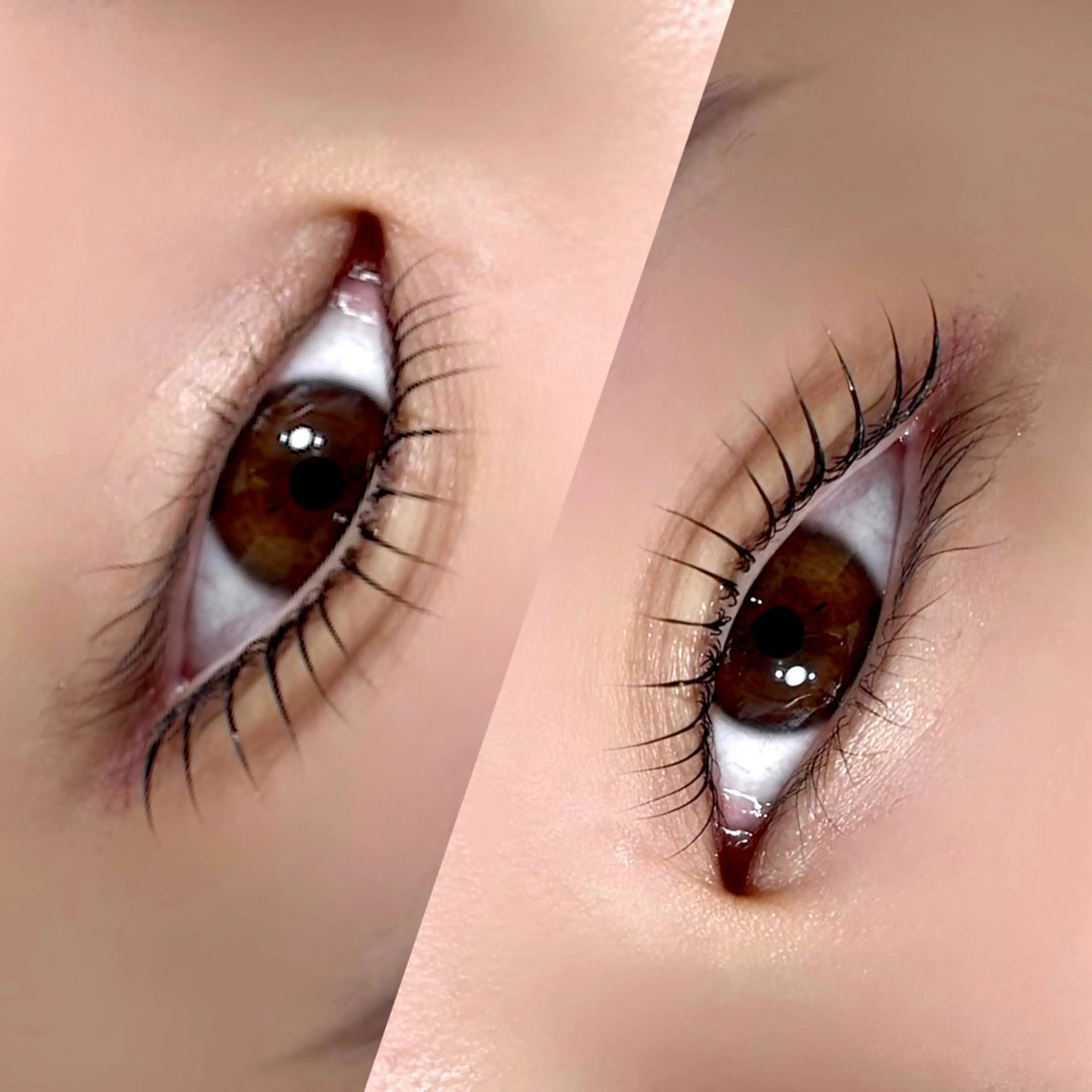 マツエク・マツパ マツパ 似合わせ/お悩み解決 🦋honoka:）の眉毛・アイブロウイメージ