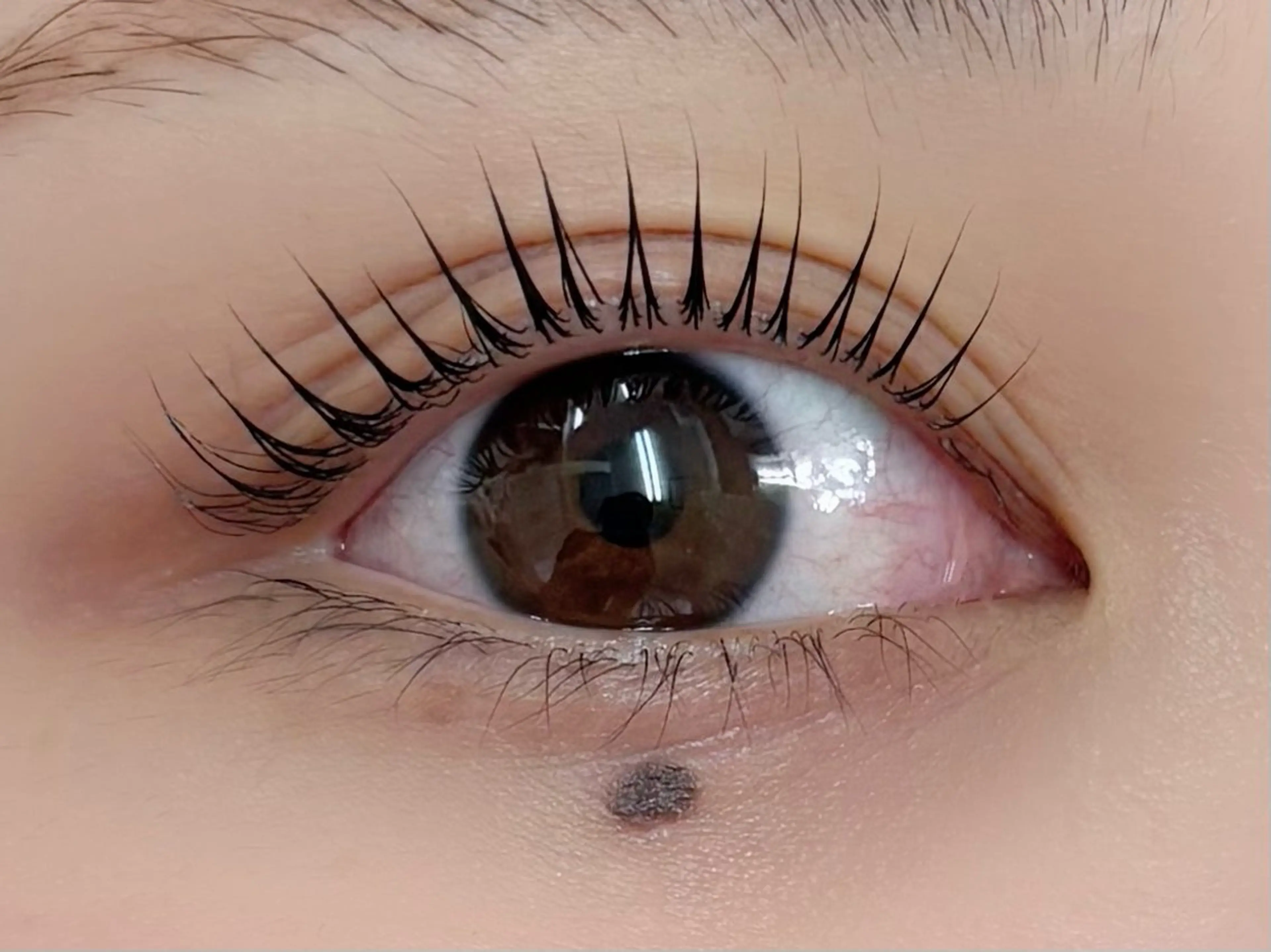 マツエク・マツパ パリジェンヌラッシュリフト マツパ alice tokyo上村★のマツエク・マツパデザイン