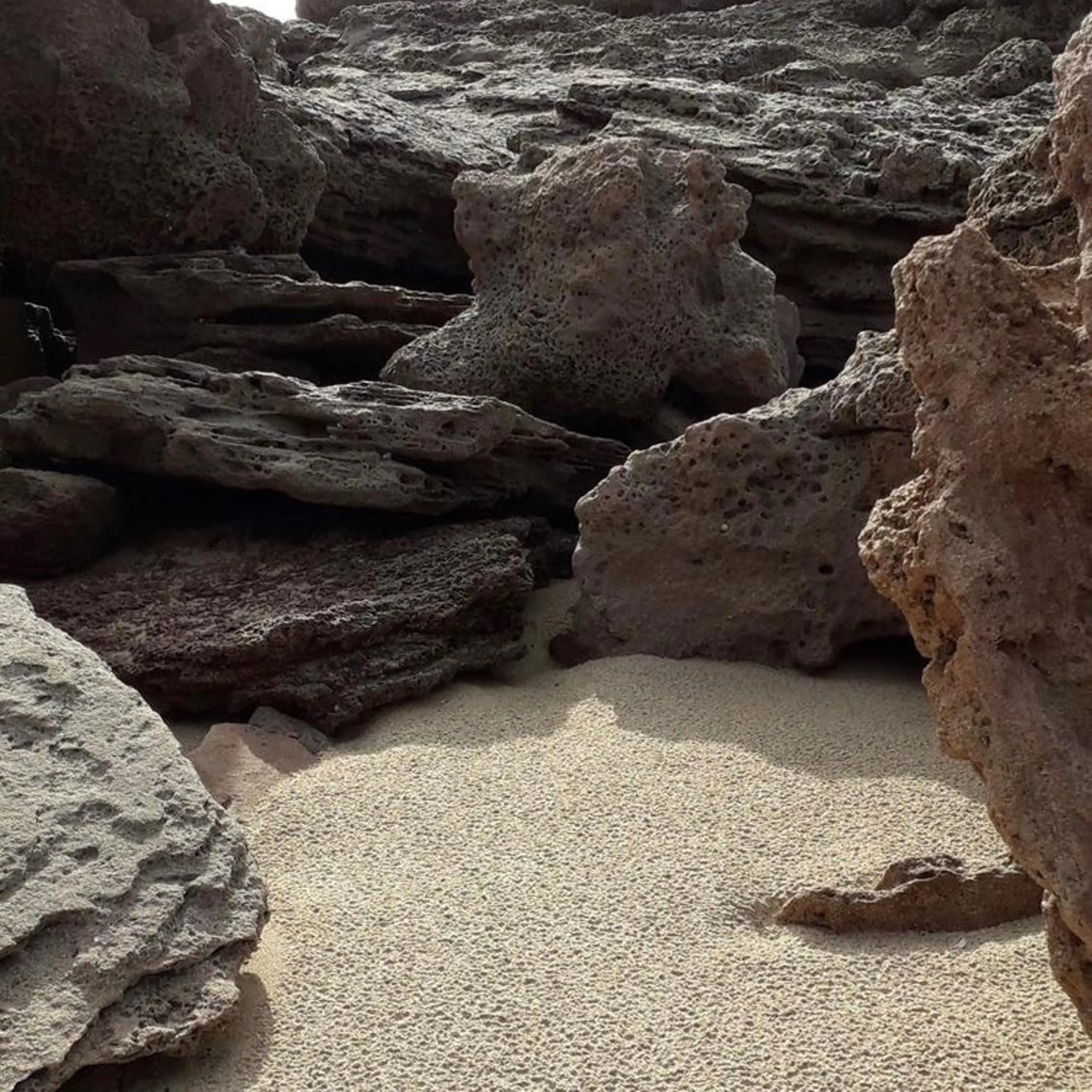 shiho .のヘアスタイル