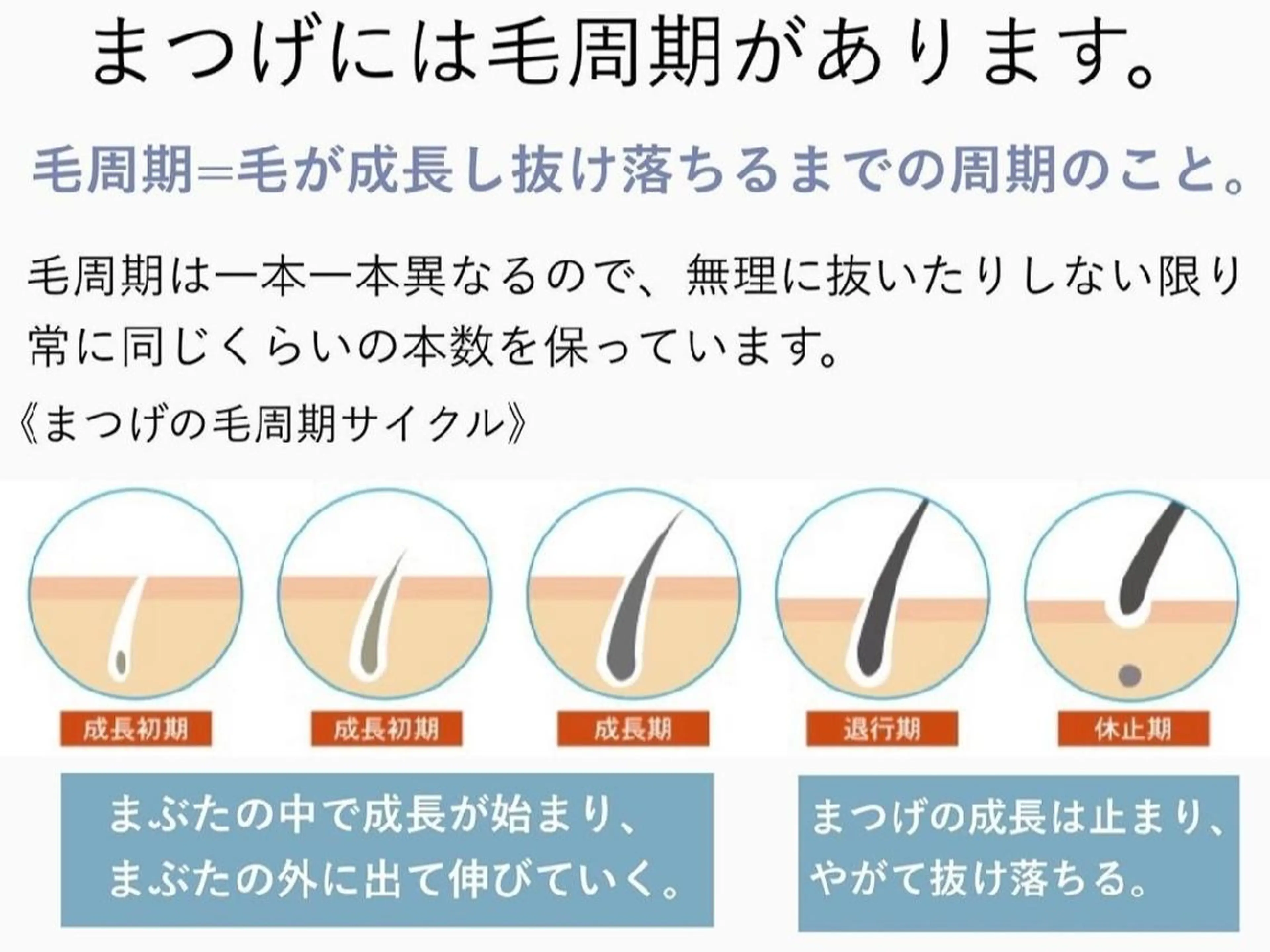 マツエク・マツパ 🍒♡RiRi  Lash ♡🍒のマツエク・マツパデザイン