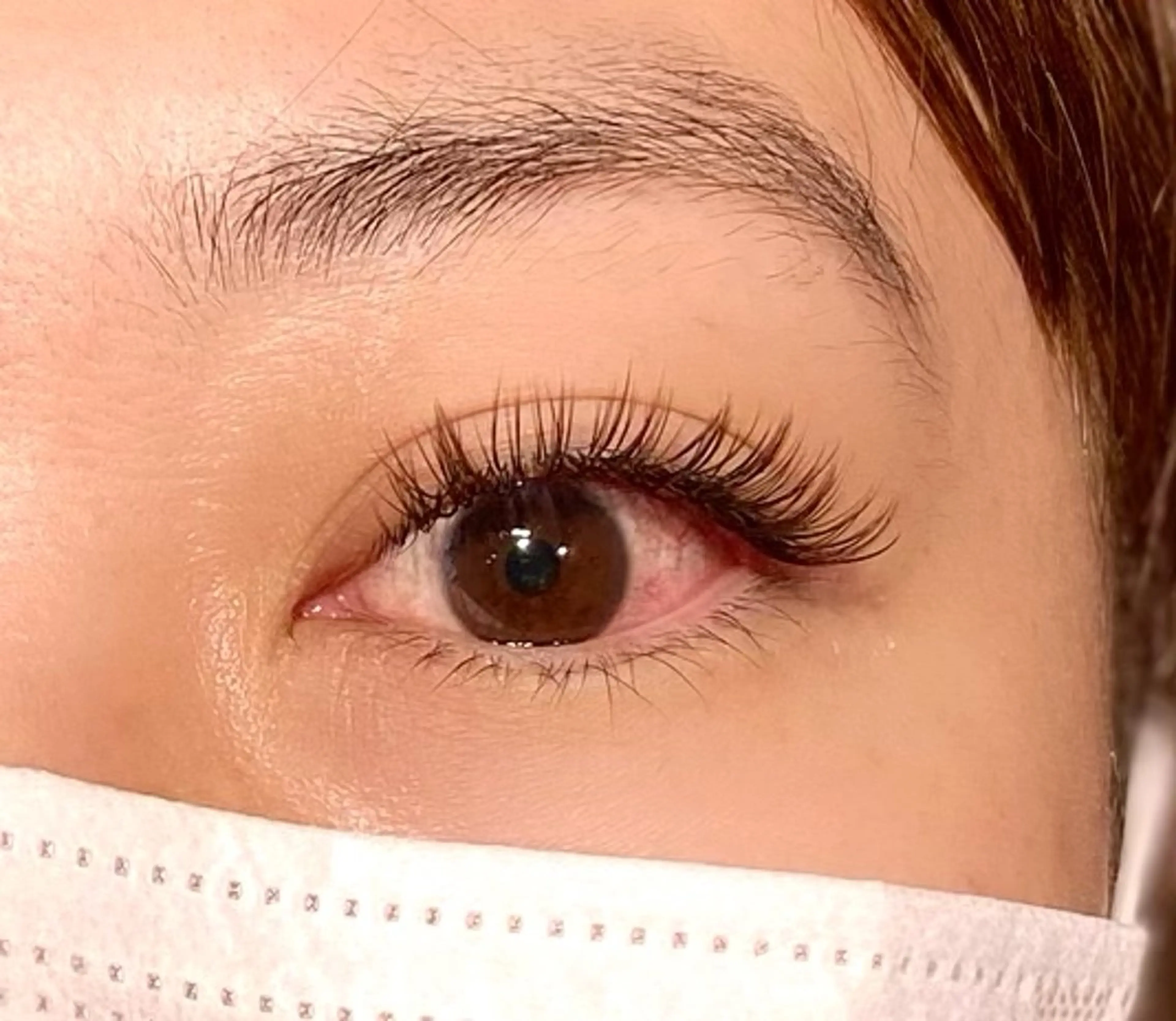 本日限定＊持続力No.1！バインドロック 100束(300本)の写真