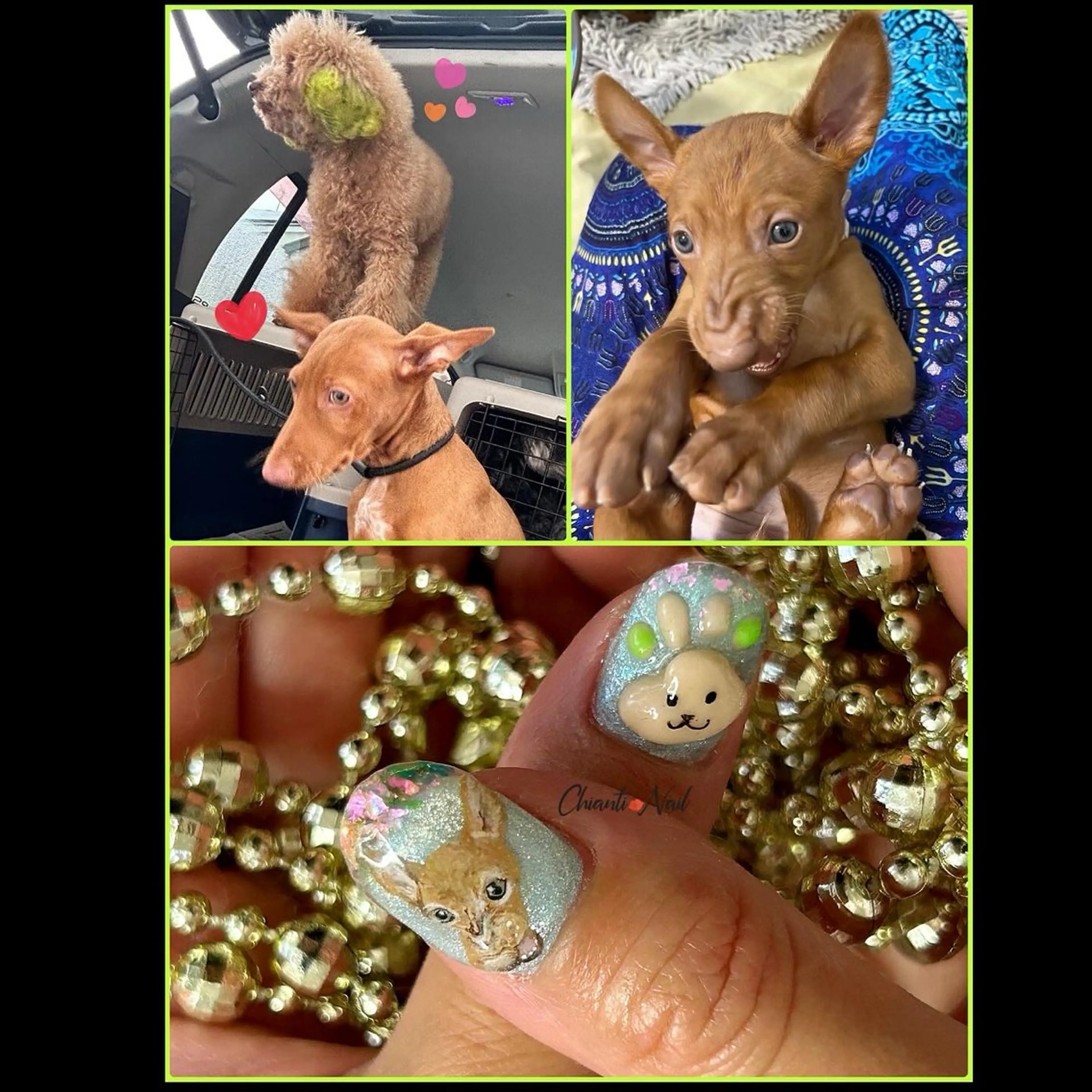 ネイル アートネイル ハンドネイル Chianti Nailのネイルデザイン