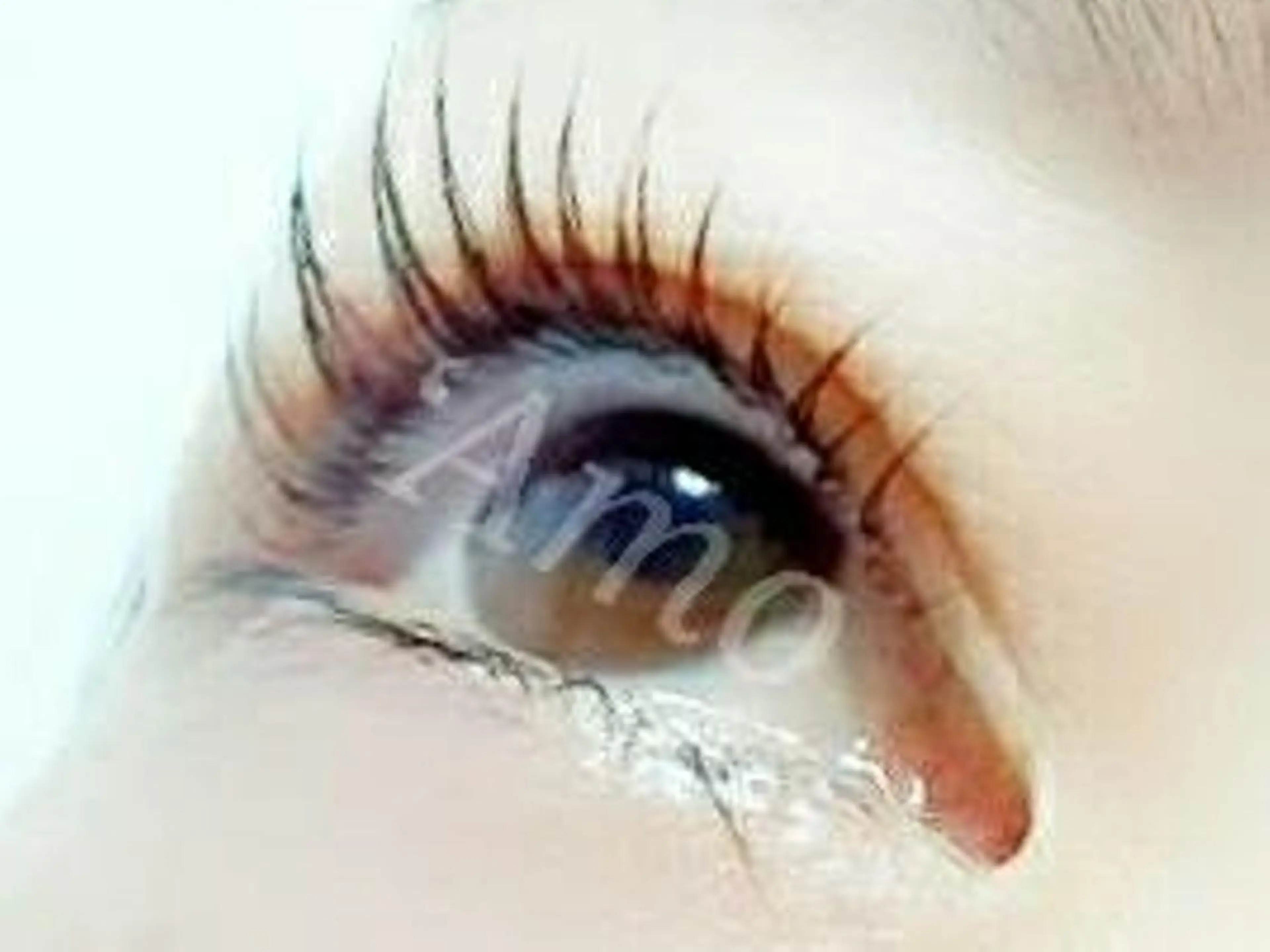 マツエク・マツパ ‘Amo アモのマツエク・マツパデザイン