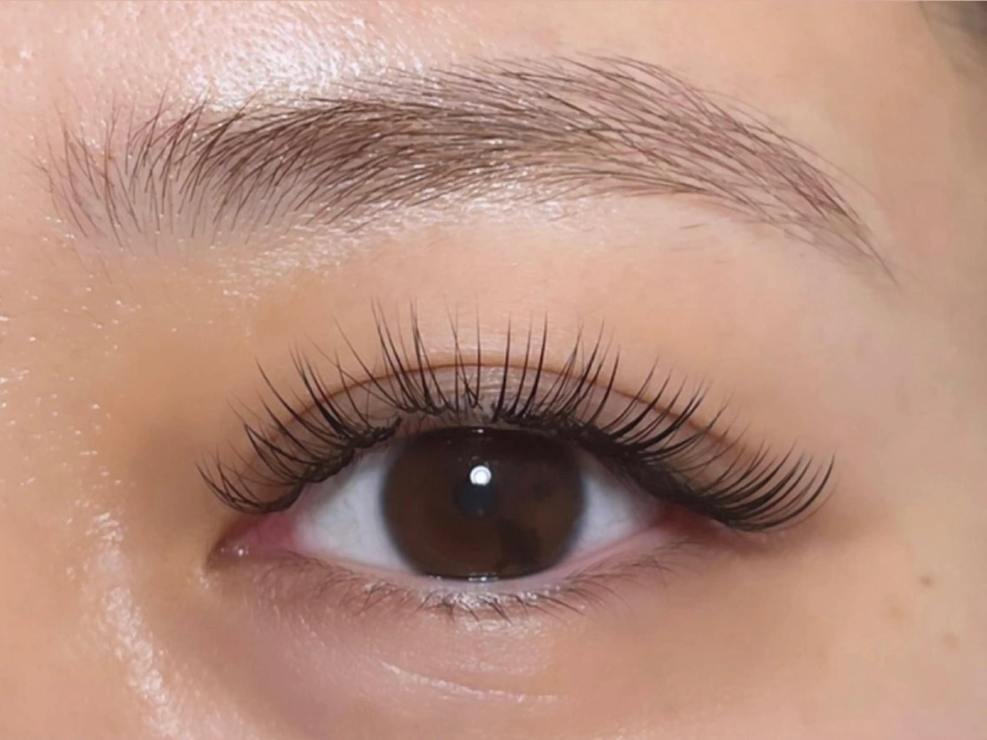 【オフなし】3Dボリュームラッシュ240本（片目40束）の写真