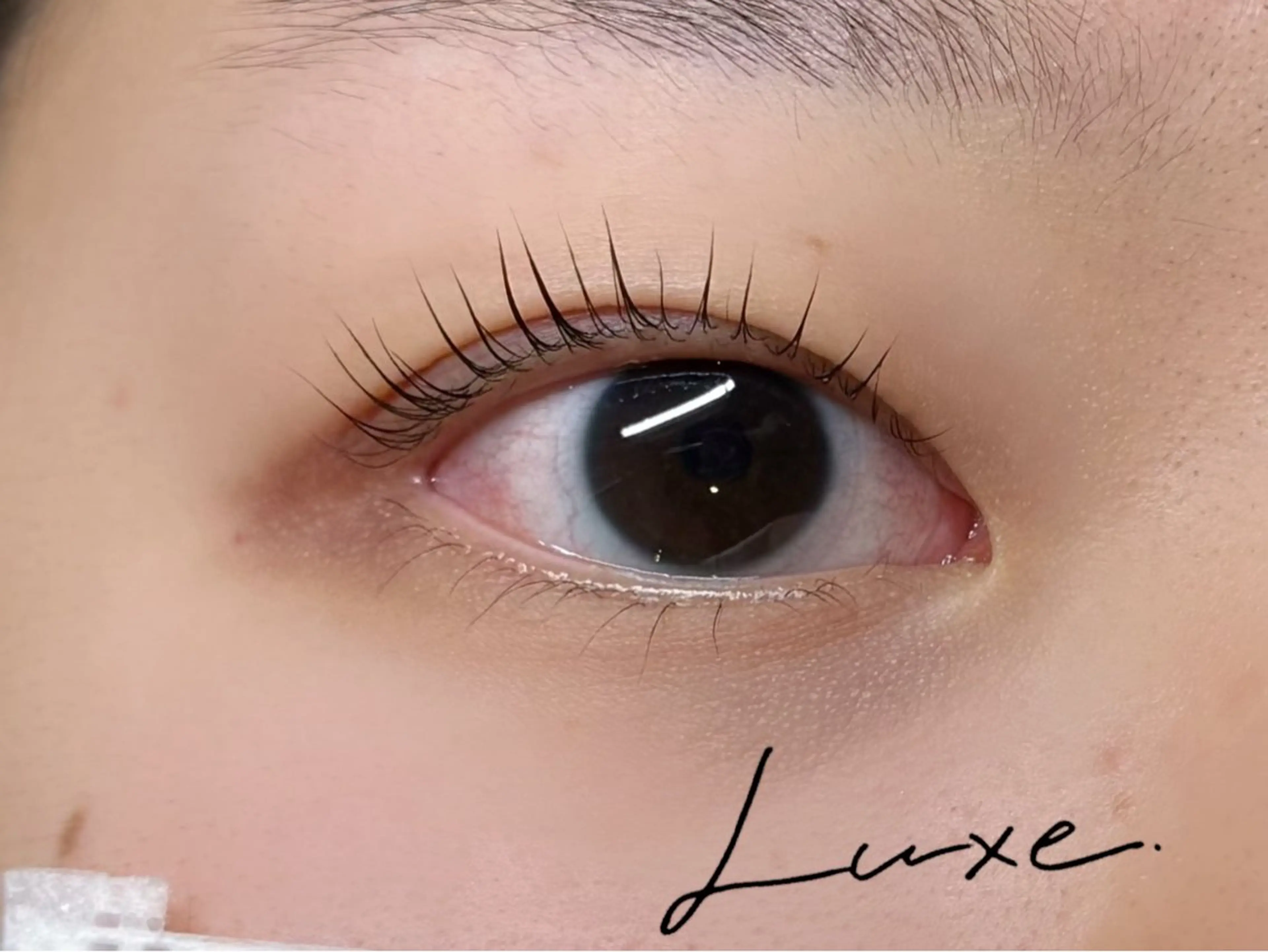 マツエク・マツパ LUXE 田澤のマツエク・マツパデザイン