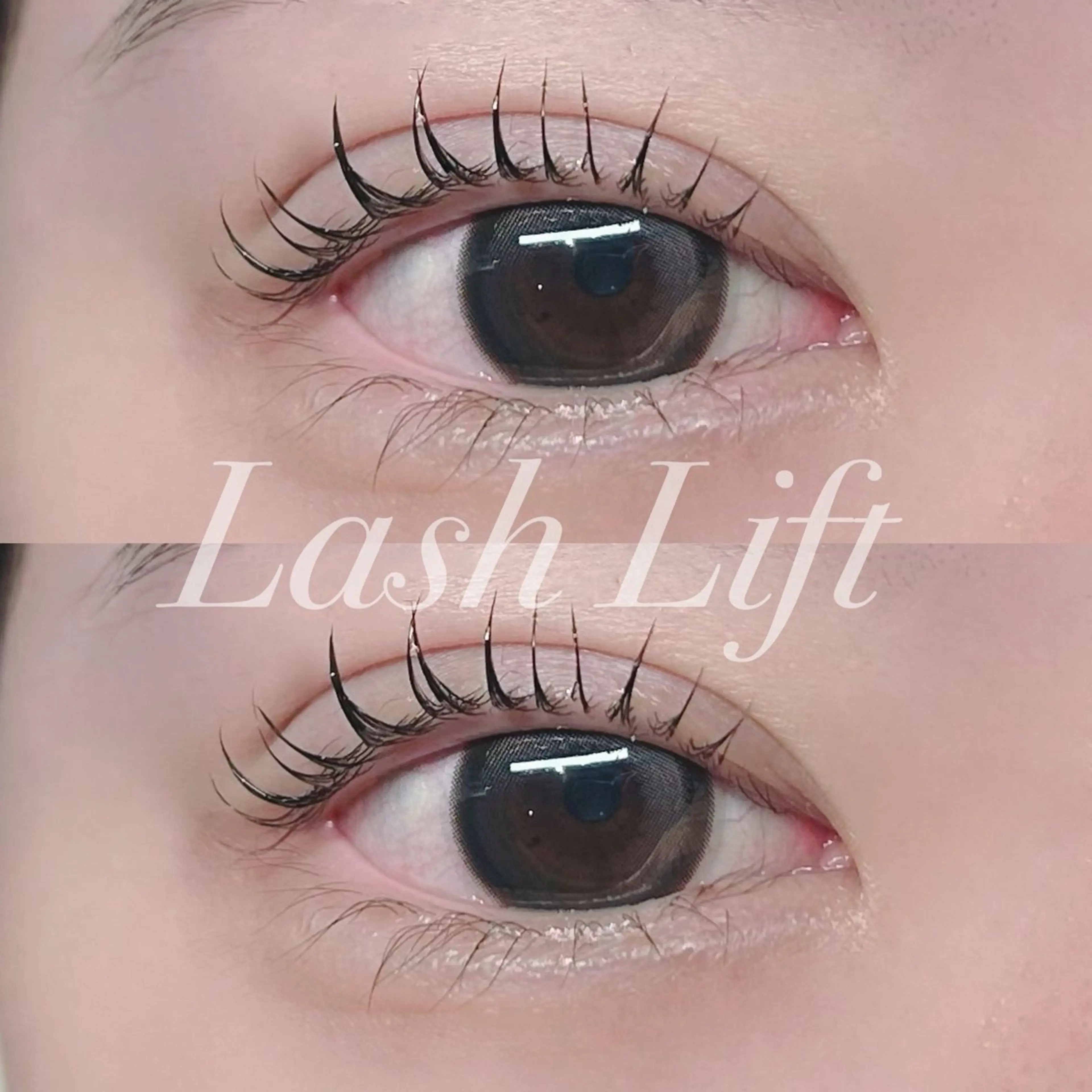 【モデル募集】🤍次世代ラッシュリフト‎¥5800→¥2200の写真