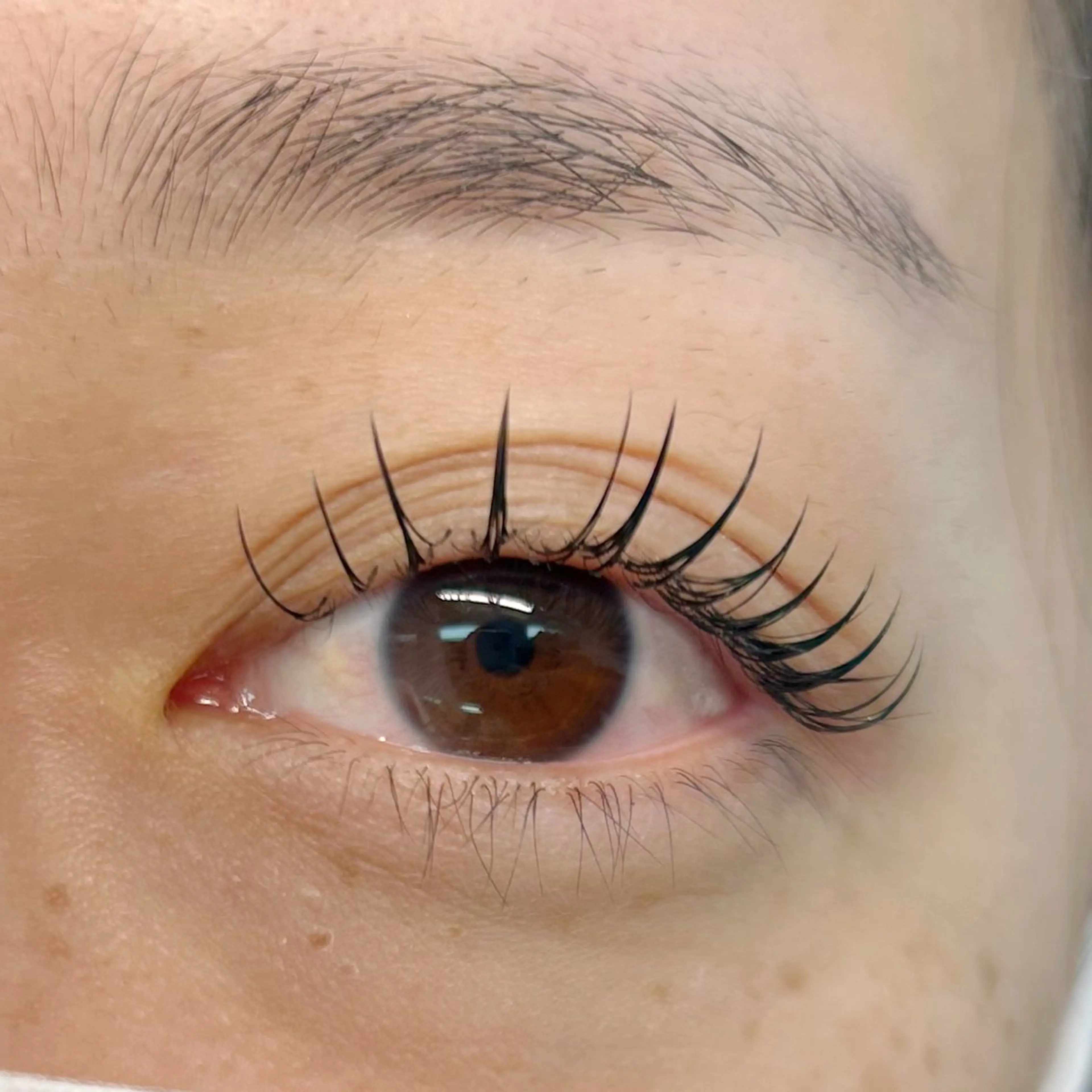 マツエク・マツパ ひがし 🐰🤍の眉毛・アイブロウイメージ