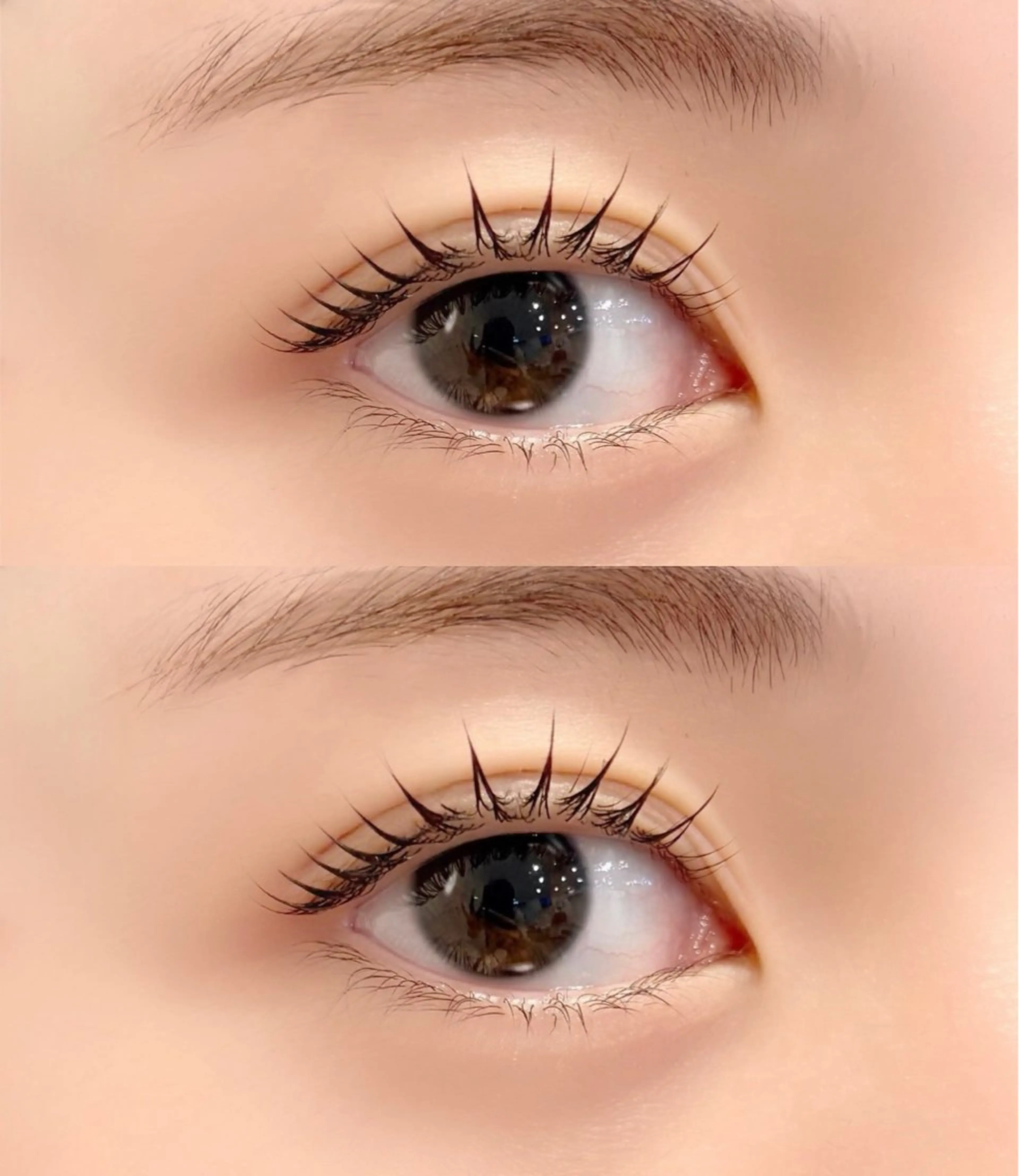 🤍ྀི大人気🤍ྀི 【パリジェンヌラッシュリフト 】韓国風束感仕上げ🪽‪トリートメント付き♡の写真