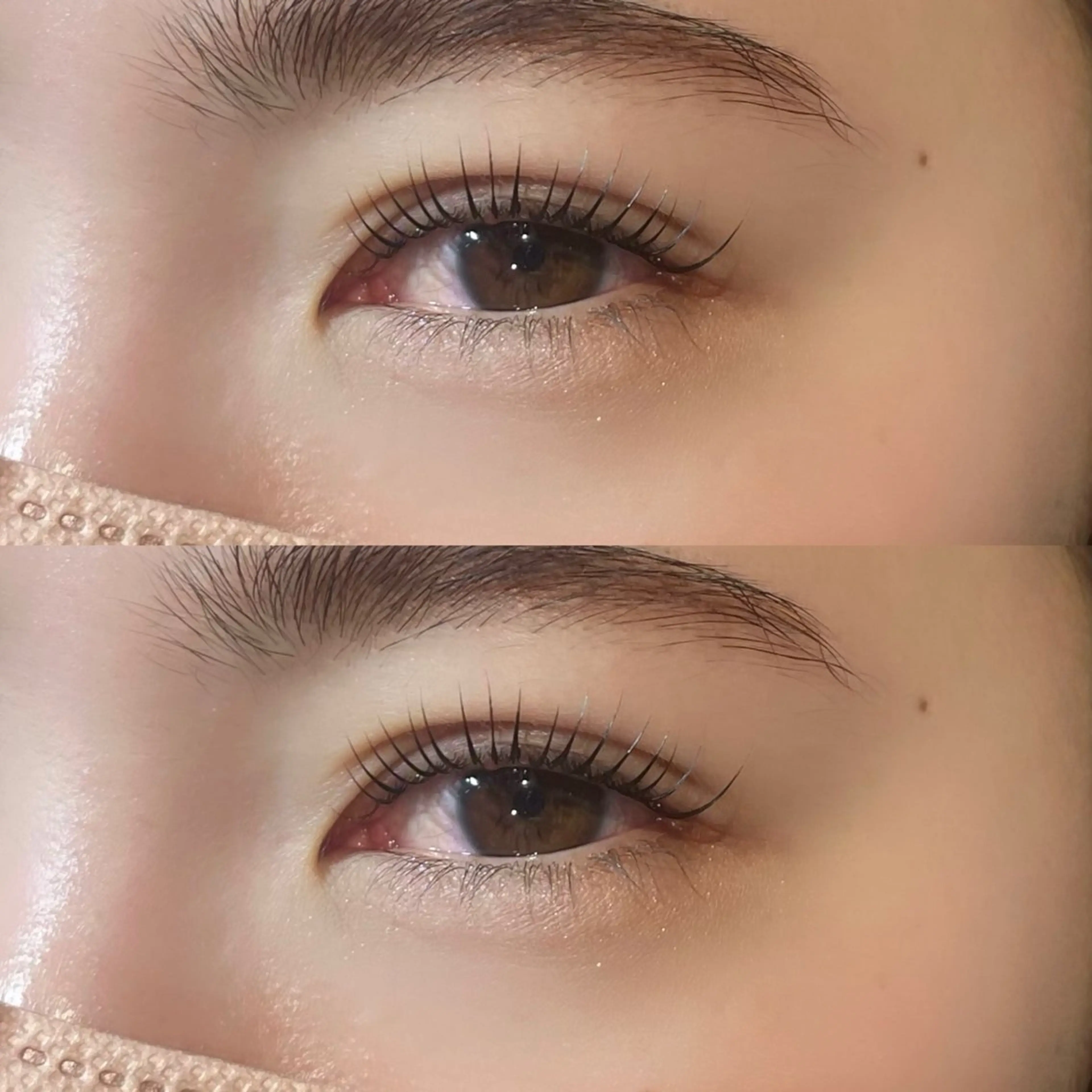 ใใใจใฏใปใใใ ๐๐๐๐๐ ๆ่ฑใฎใใใจใฏใปใใใใใถใคใณ