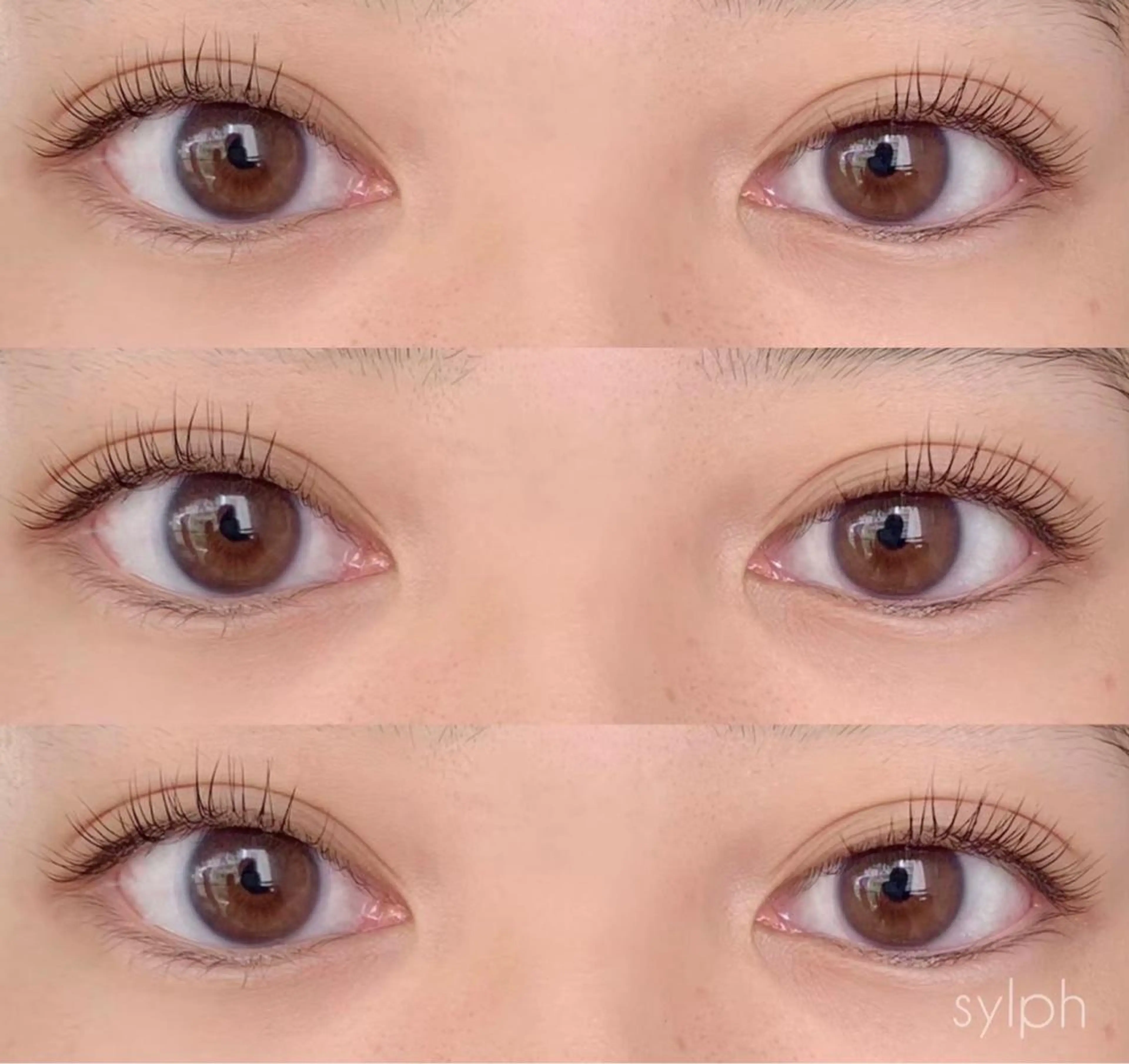 メンズ マツエク・マツパ 【梅田/茶屋町】 RYOの眉毛・アイブロウイメージ