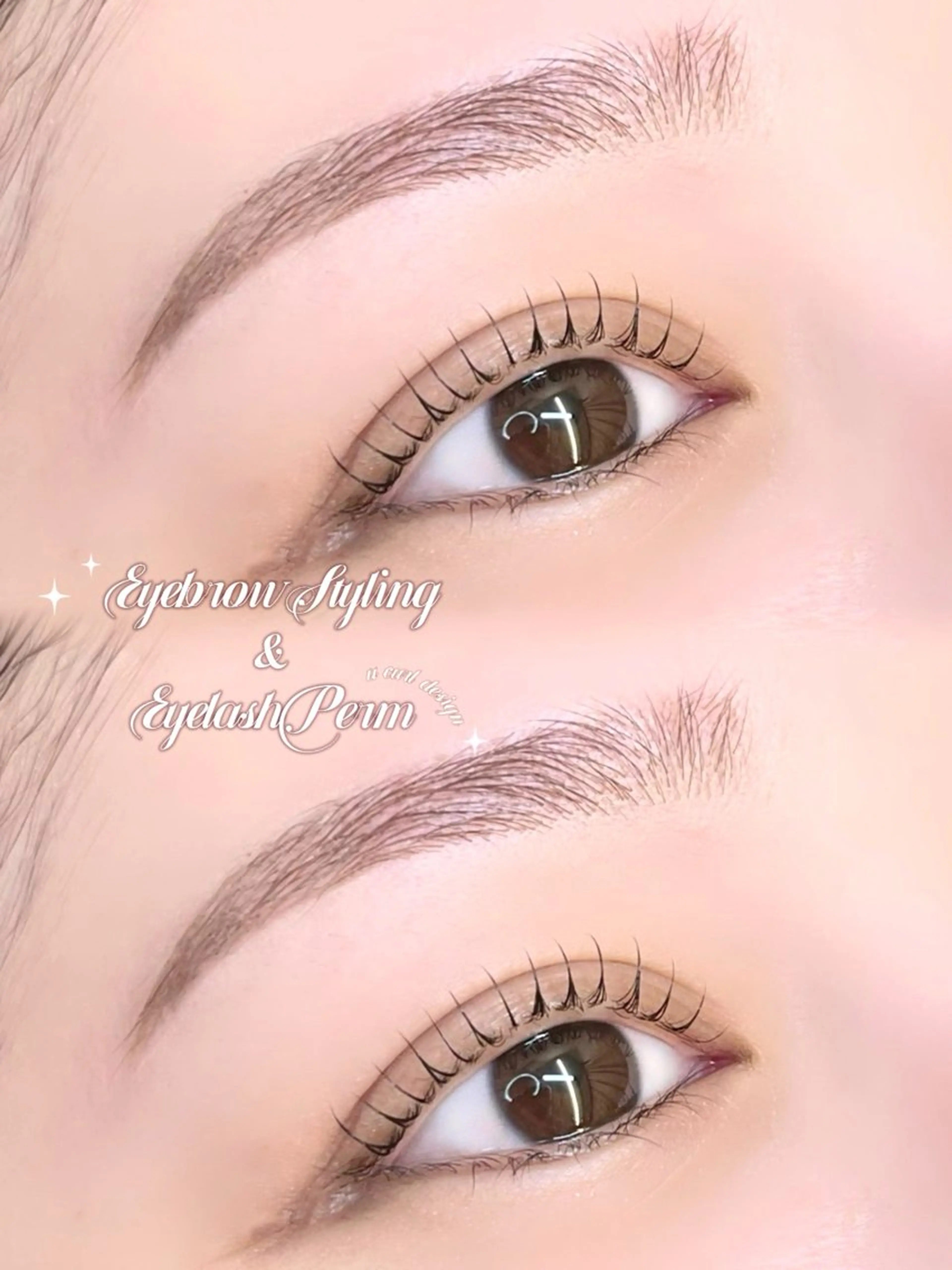 🎫平日限定🎫美眉アイブロウwax + まつげパーマの写真