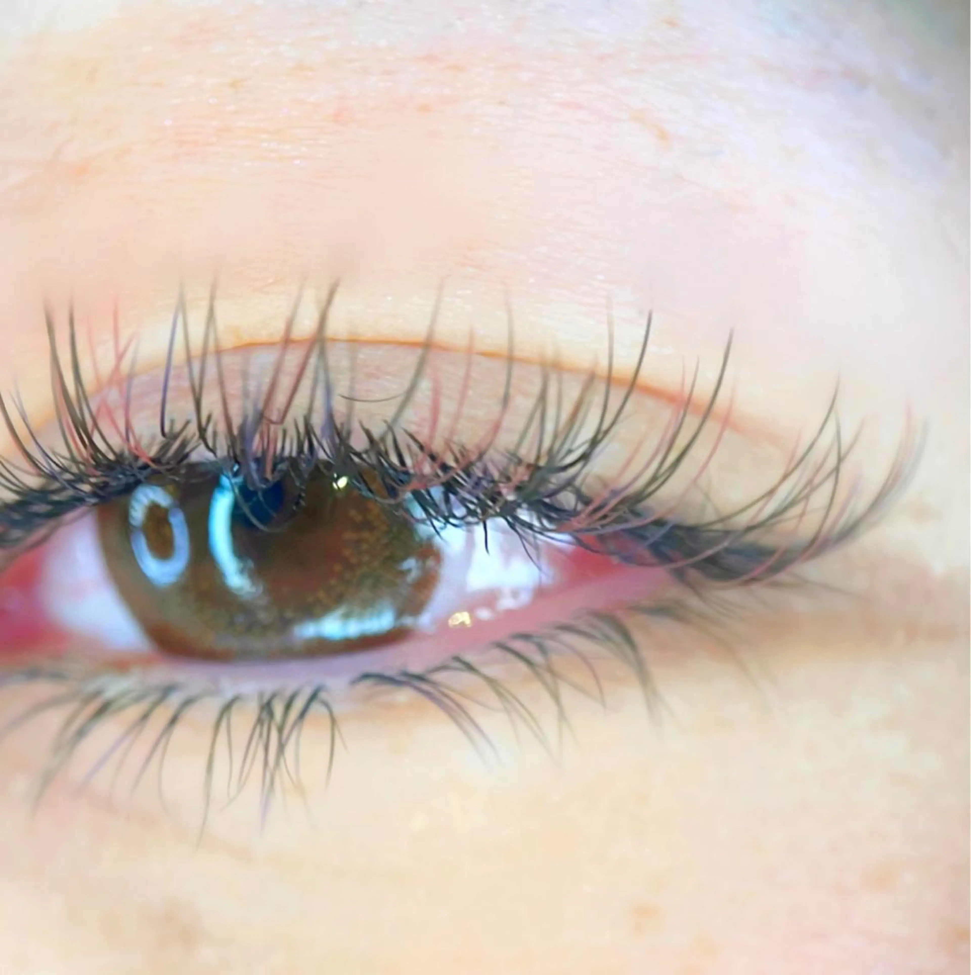 マツエク・マツパ 山城 エスタの眉毛・アイブロウイメージ