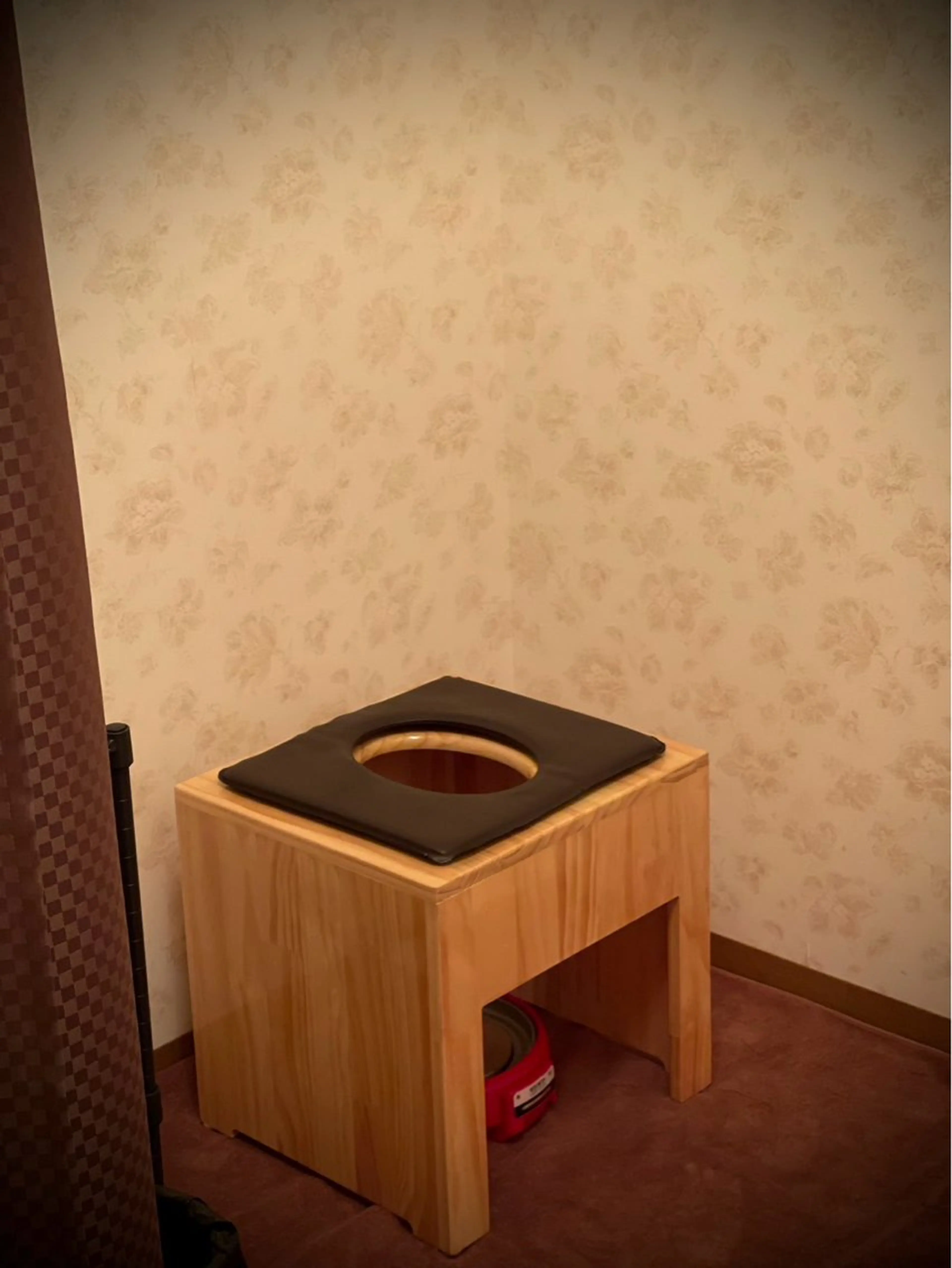 スーパーフードモリンガ蒸し50分の写真