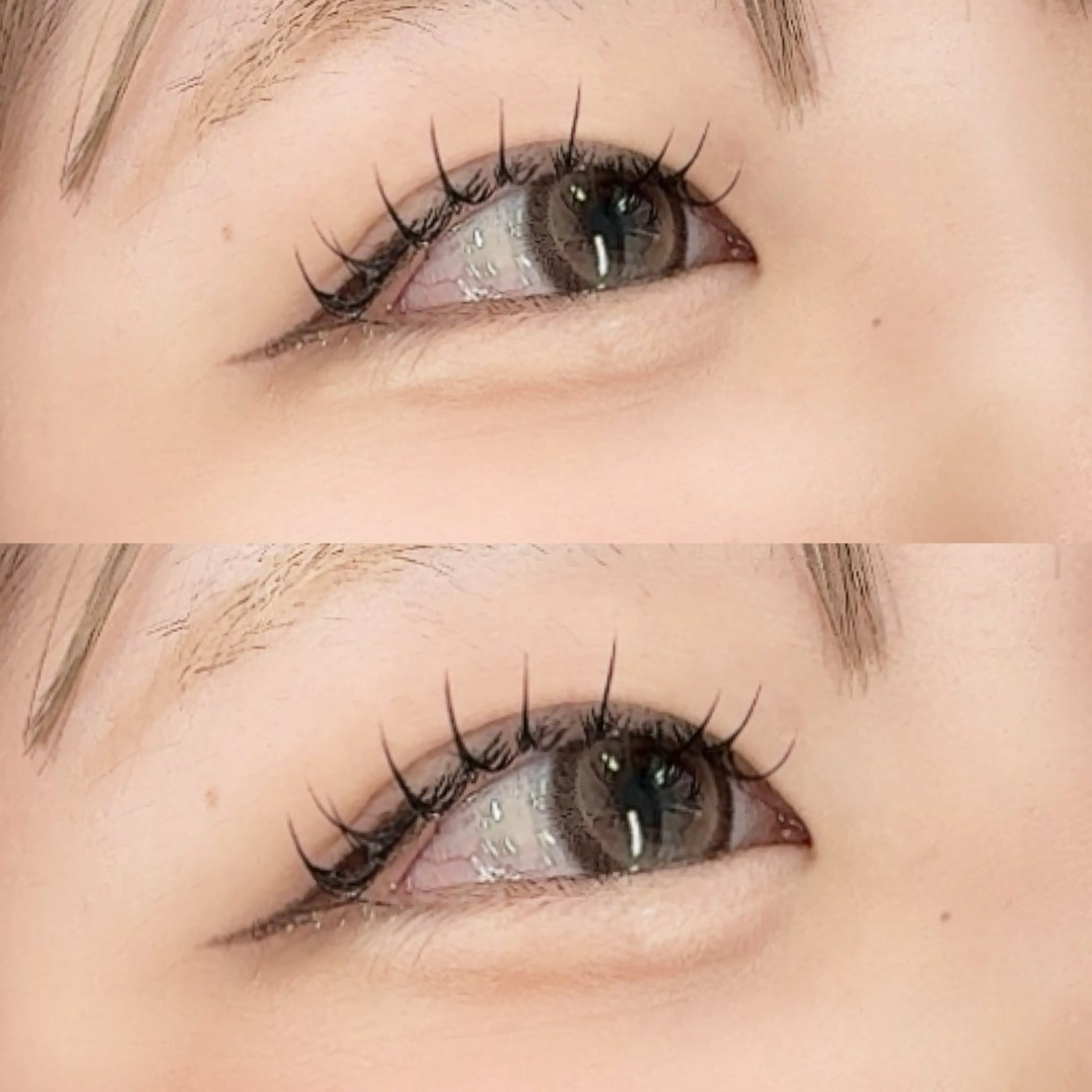 💟5月限定💟シングルラッシュ上80​〜​100本 オフ無の写真