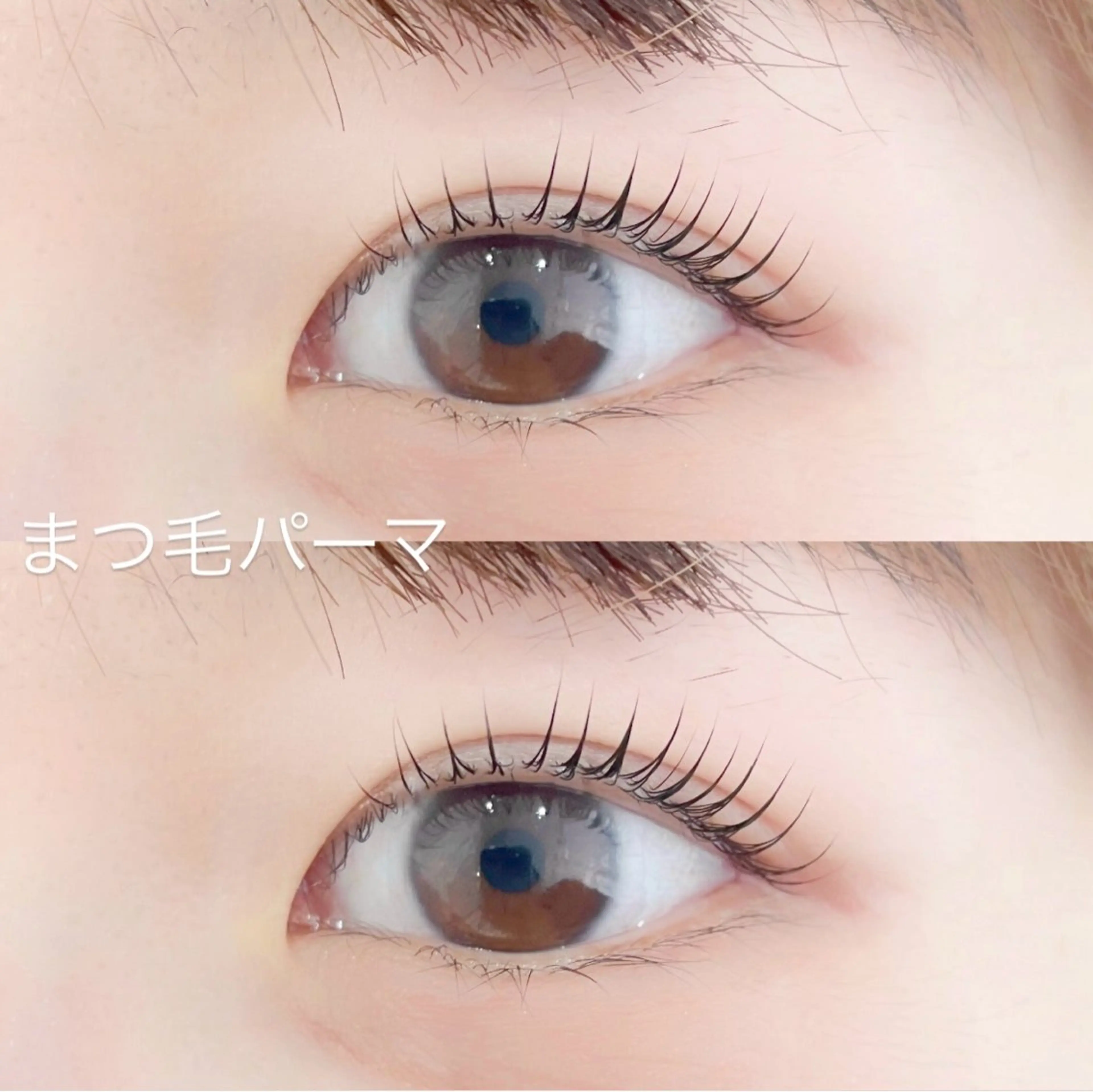 🦋🌙7月ご新規様限定🌙🦋潤いまつ毛パーマ👀必ず補足説明を読んでからご予約お願いいたしますの写真