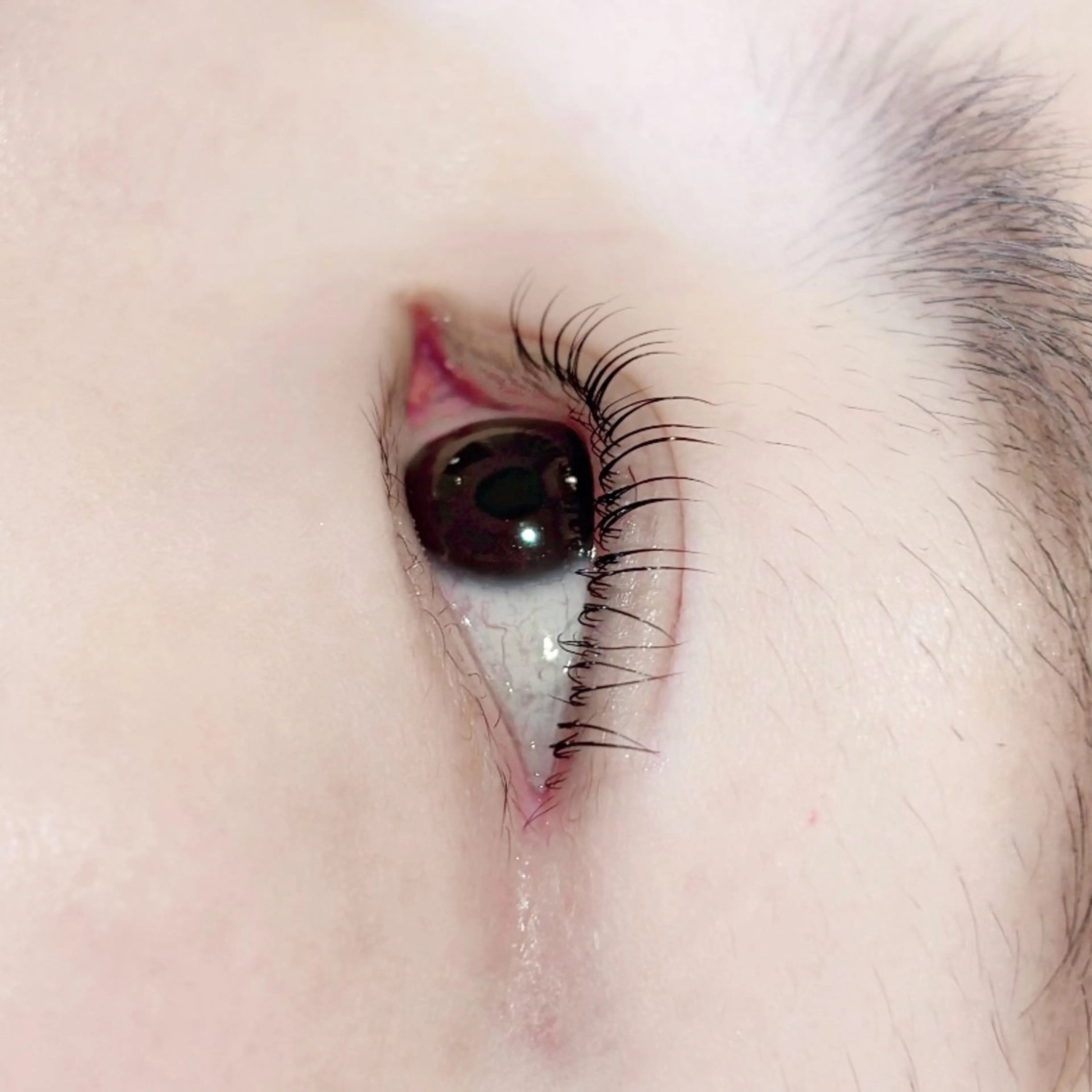 マツエク・マツパ ナチュラル マツパ m.j. Reinaのマツエク・マツパデザイン