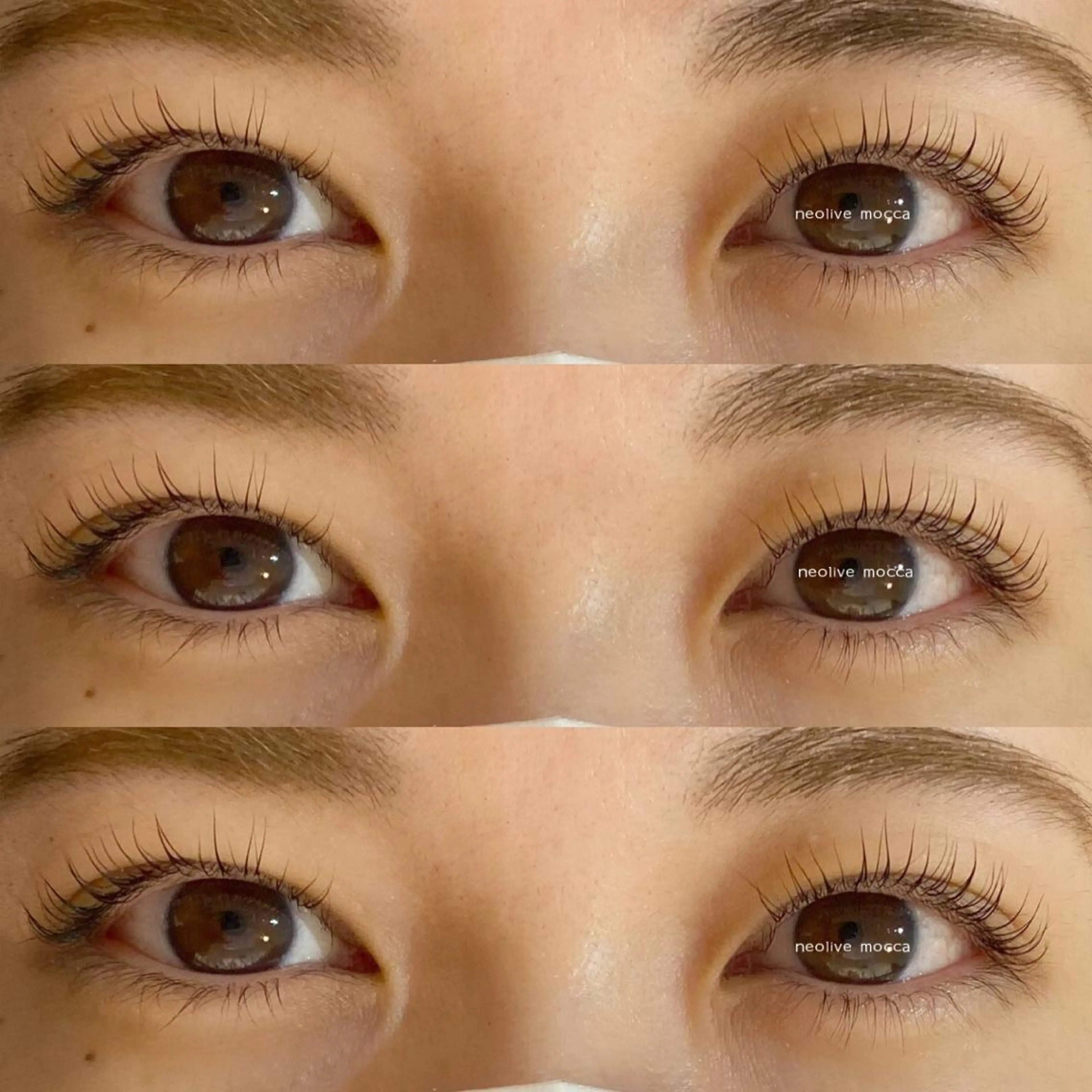 マツエク・マツパ パリジェンヌラッシュリフト マツパ mocca🕊🫧 ayamiのマツエク・マツパデザイン