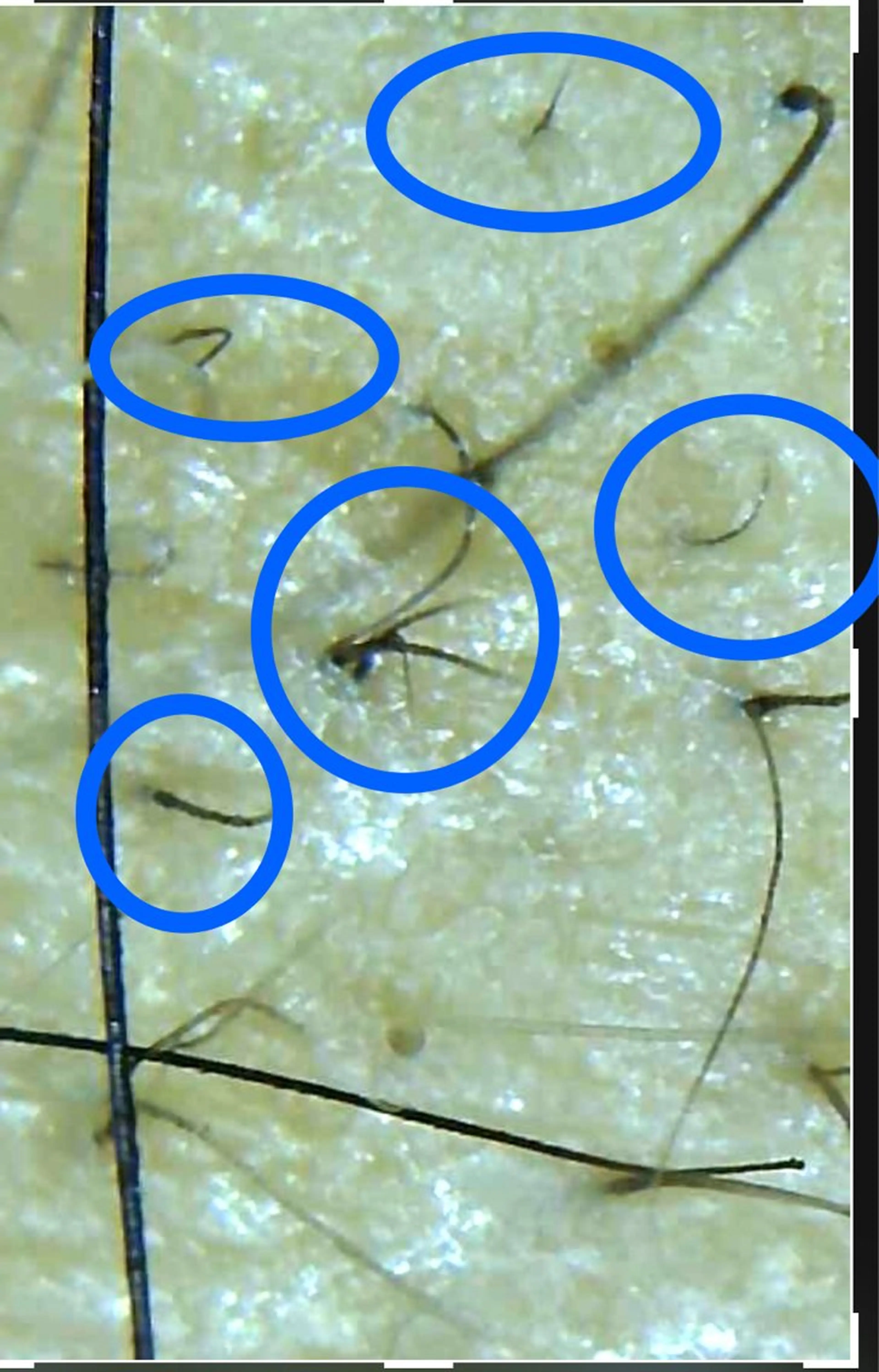 セントラル鍼灸院 Re:laxyのヘアスタイル