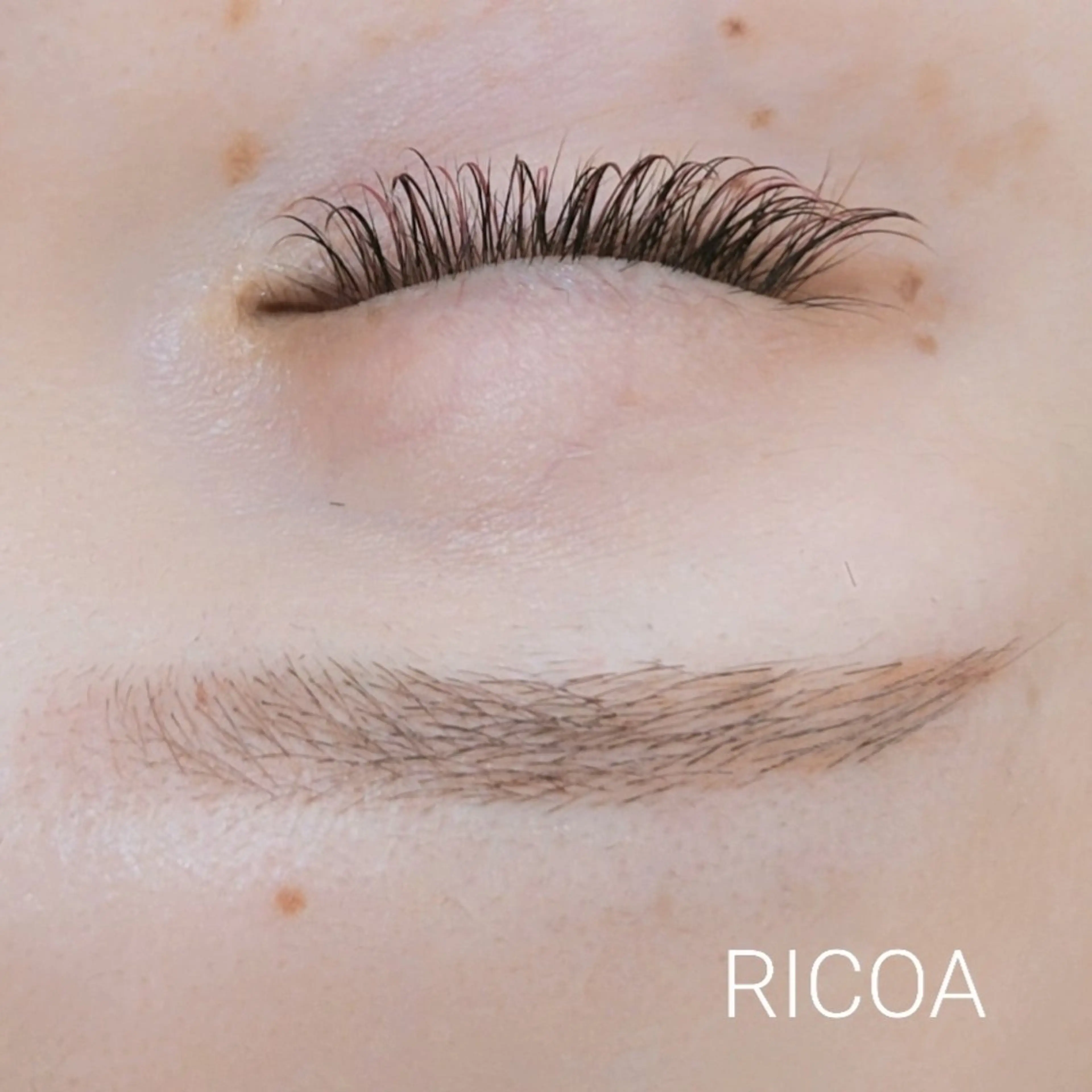 アイブロウ 眉カラー 眉毛ワックス脱毛 ワックス脱毛 眉カット その他(アイブロウ) RICOA 酒井のマツエク・マツパデザイン