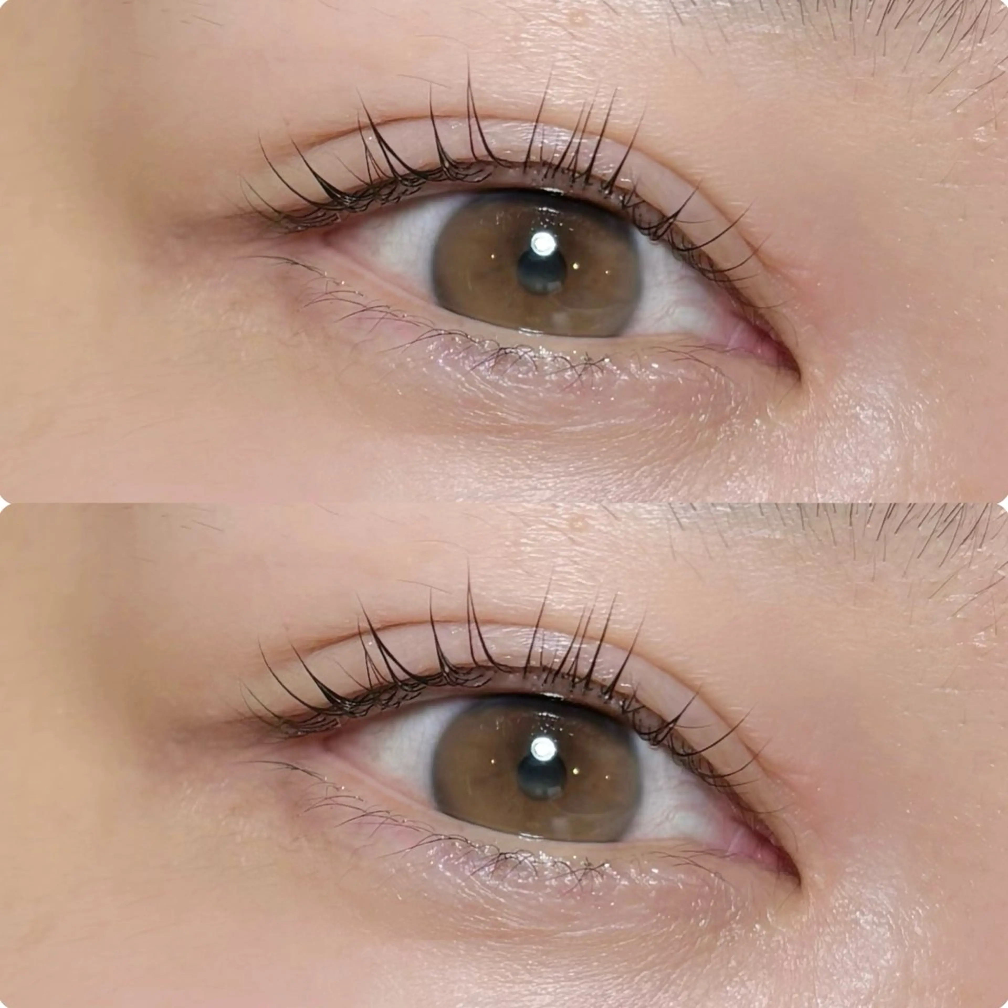 マツエク・マツパ マツパ meguru／マツパ ／マツエク／束感のマツエク・マツパデザイン