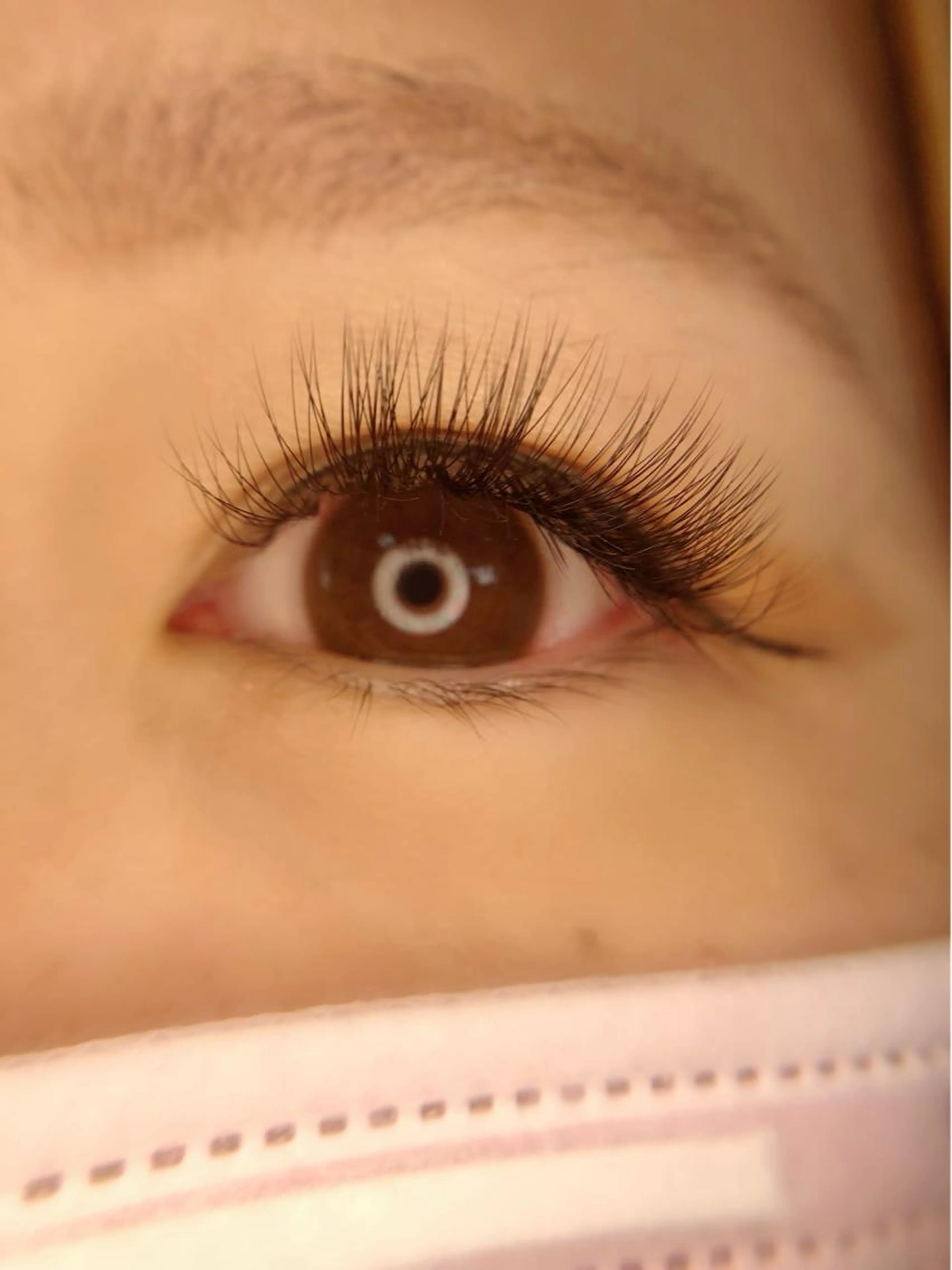 ボリュームラッシュ140束の写真