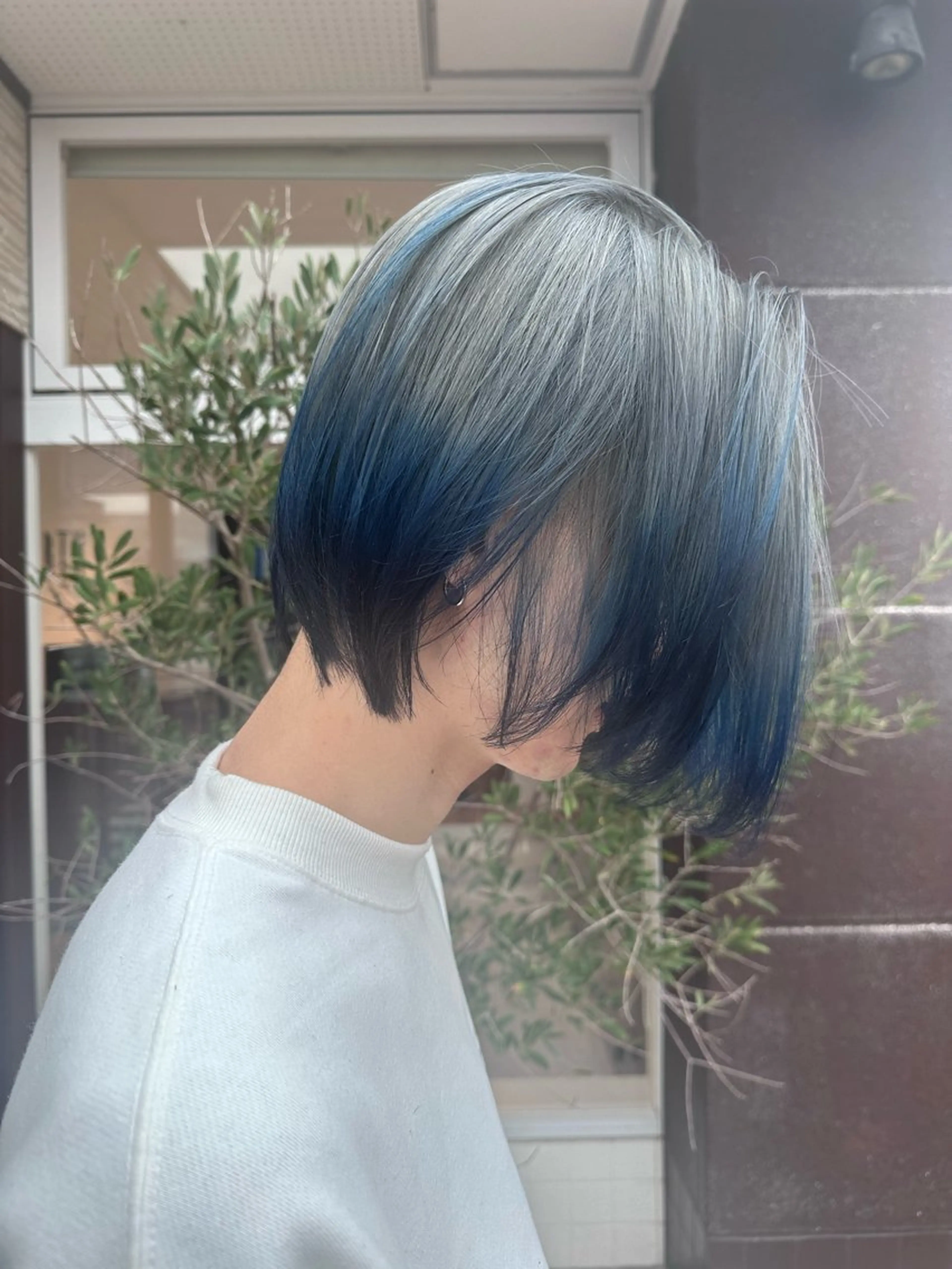 ルーツカラー🩶🩵💙の写真