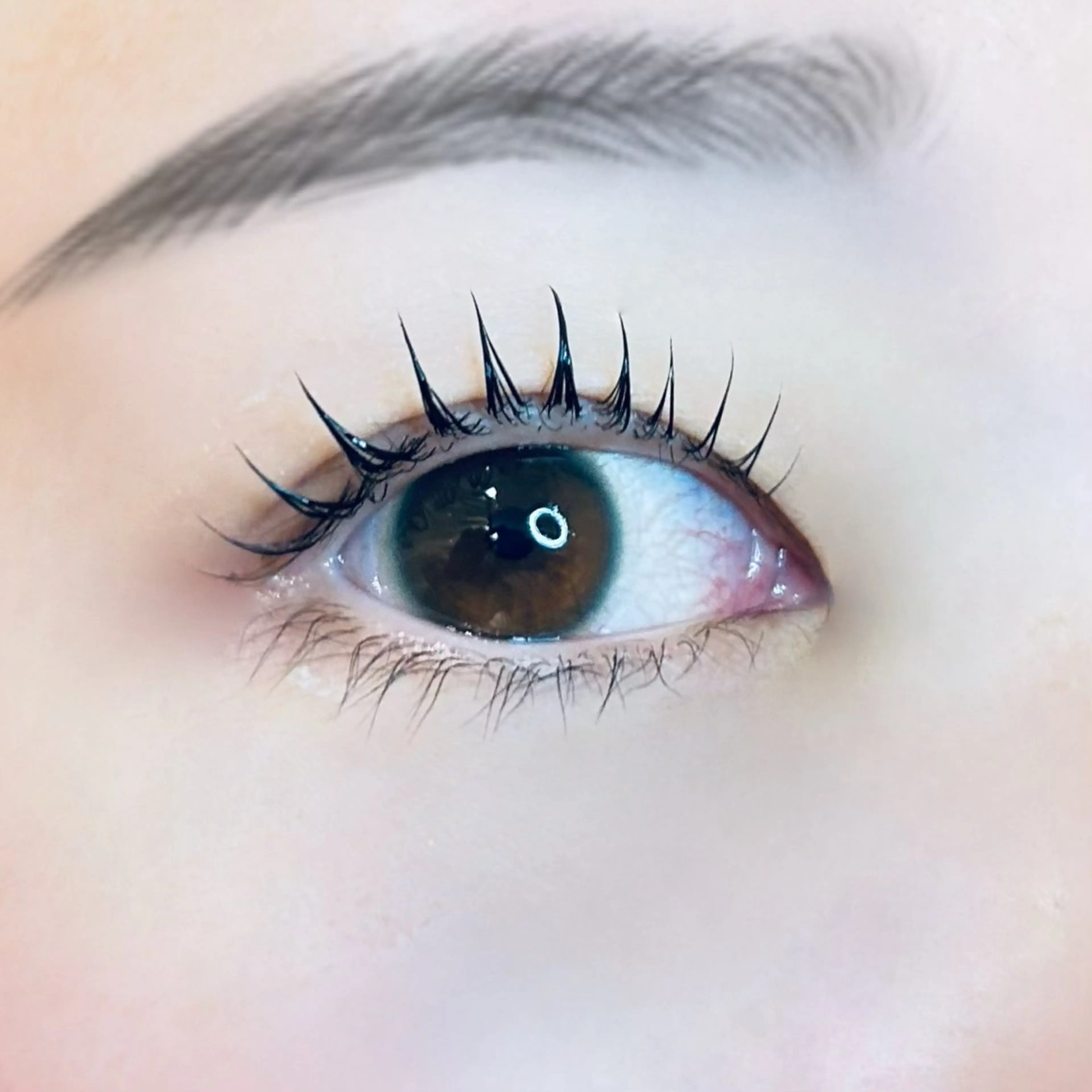 ２回目のご相談の写真