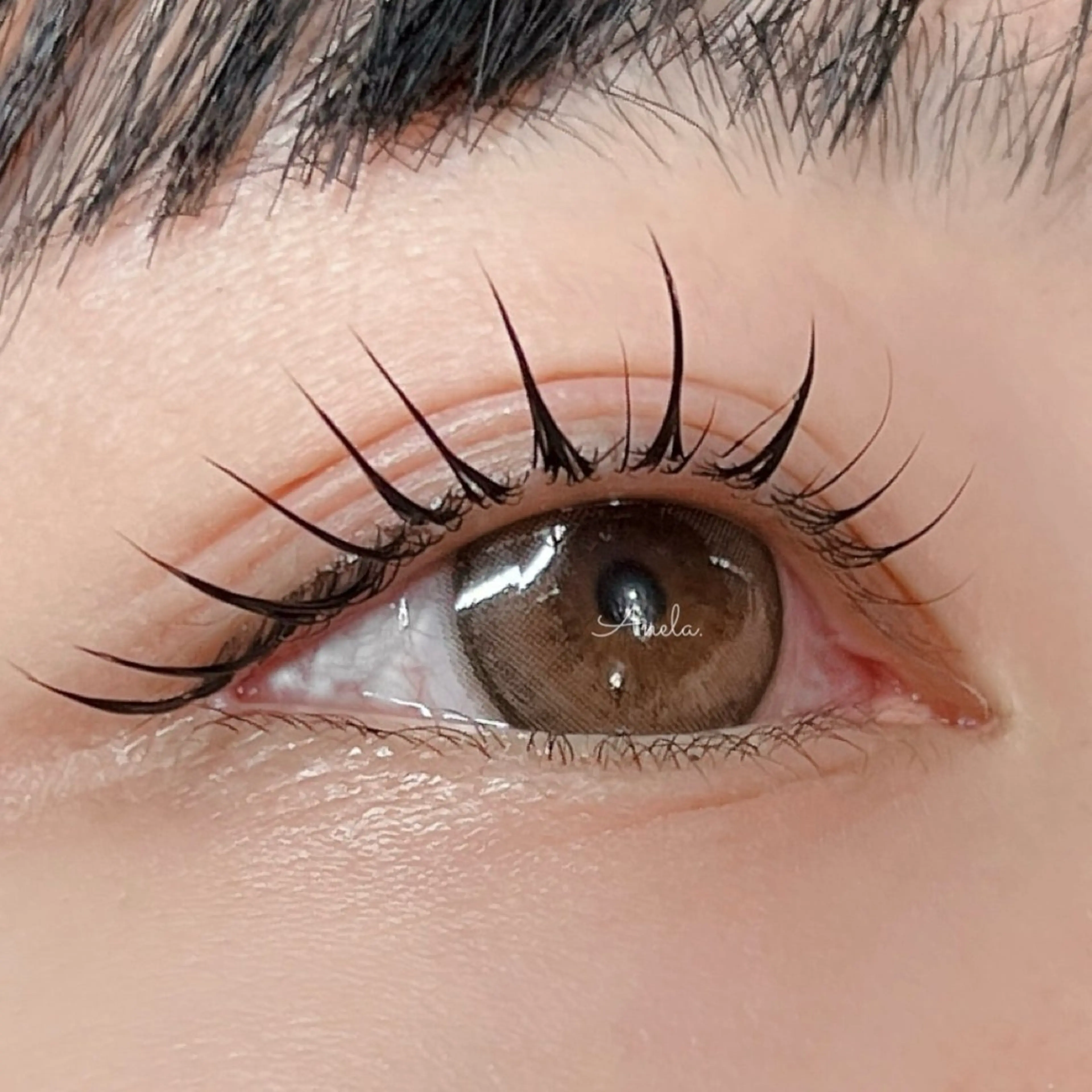 マツエク・マツパ Anela.所属・Anela./江坂/ ラッシュリフトのマツエク・マツパデザイン