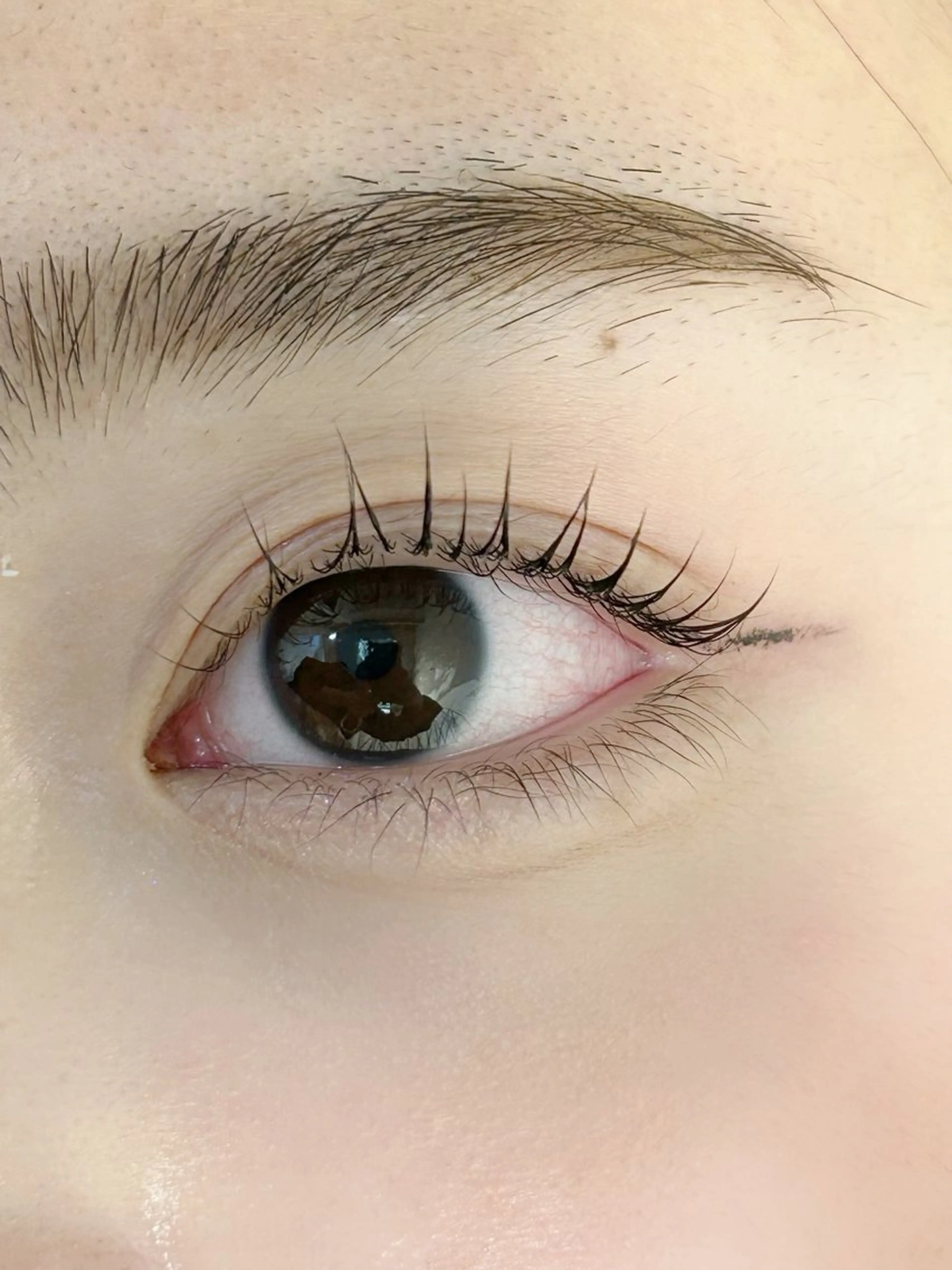 まつ毛パーマ練習モデル　90分　エクステオフなしの写真