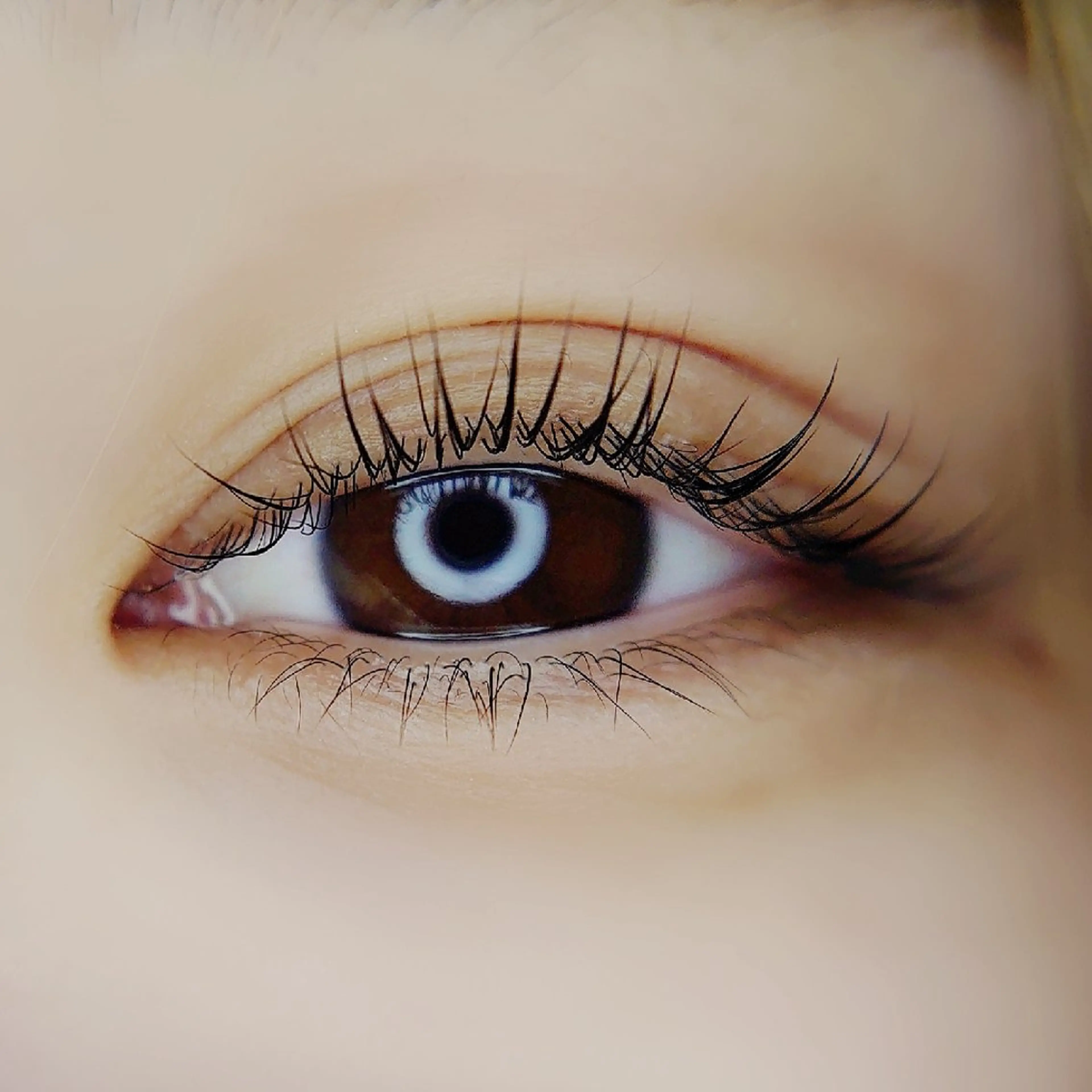 マツエク・マツパ Chelu TOMのマツエク・マツパデザイン