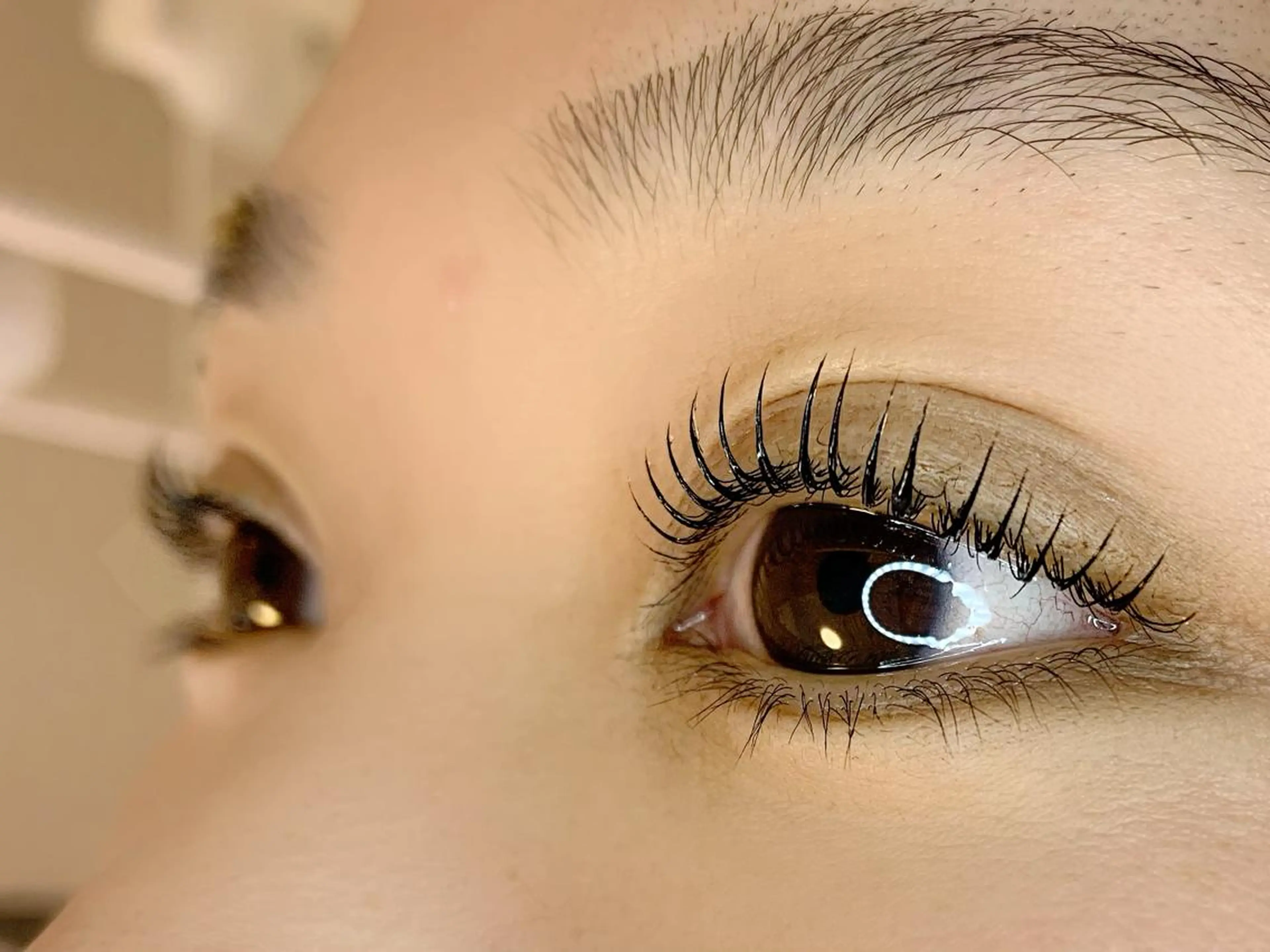 マツエク・マツパ マツパ teatree.. REINAのマツエク・マツパデザイン