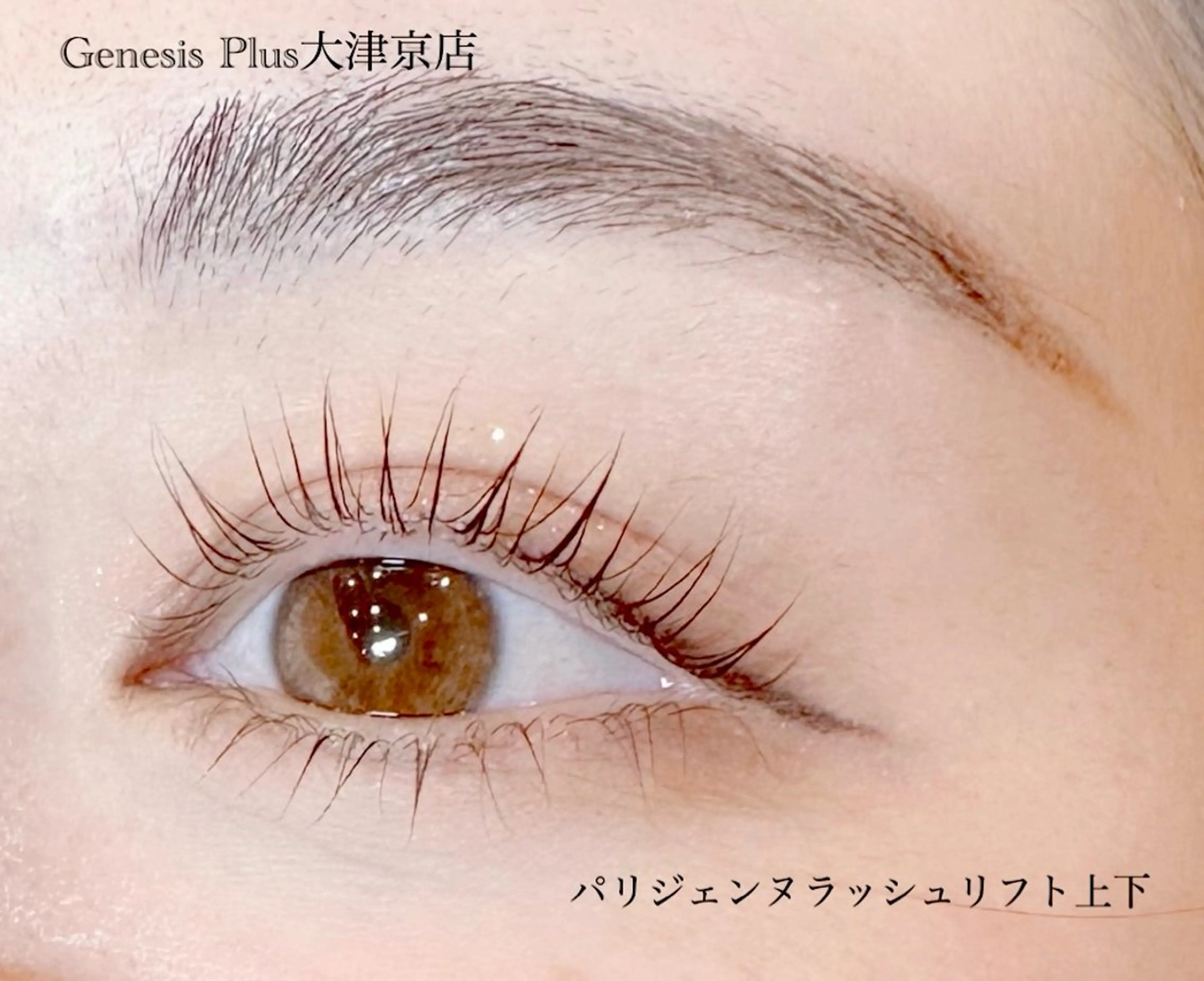 マツエク・マツパ パリジェンヌラッシュリフト マツパ Genesis Plus大津京店のマツエク・マツパデザイン
