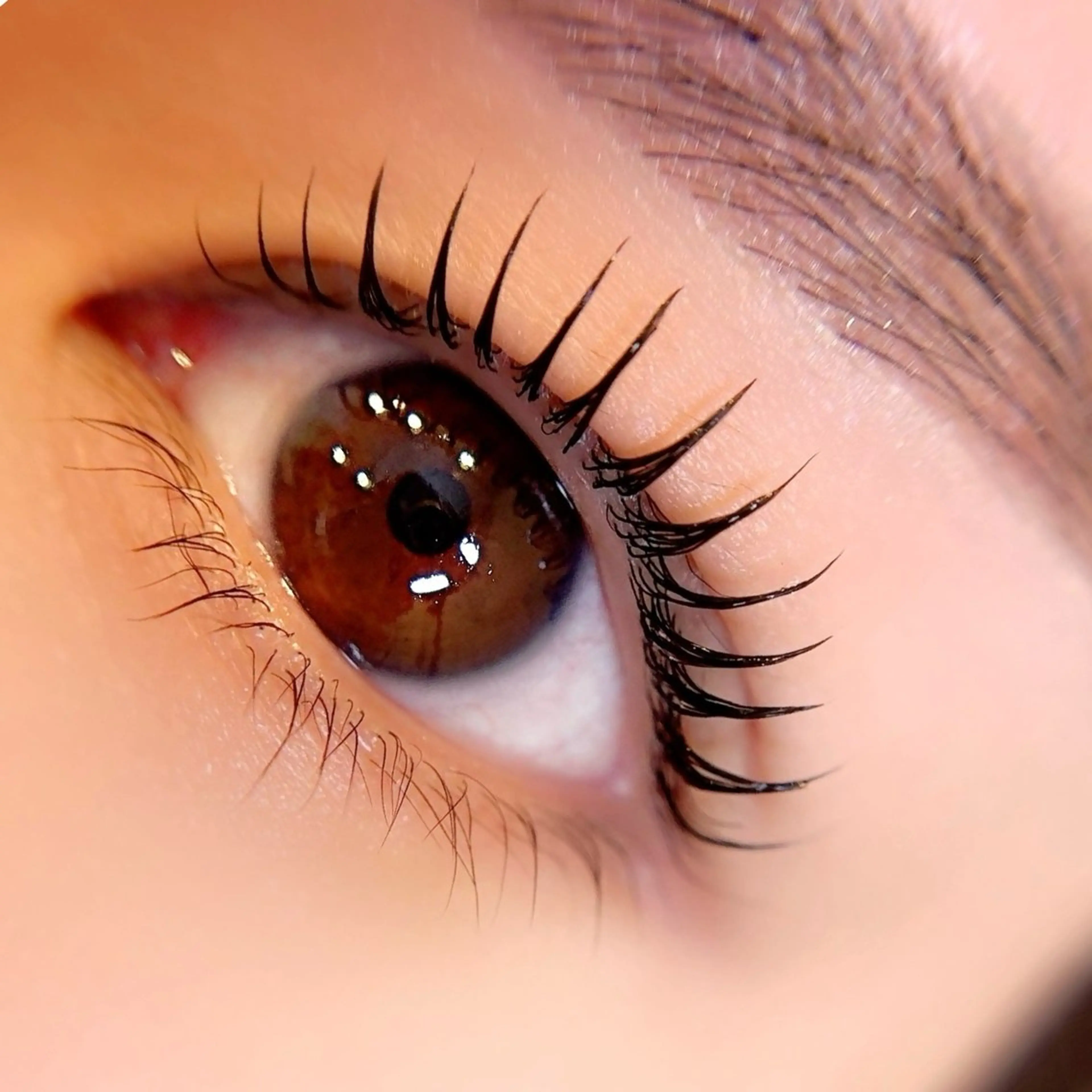 マツエク・マツパ alchemy workzのマツエク・マツパデザイン