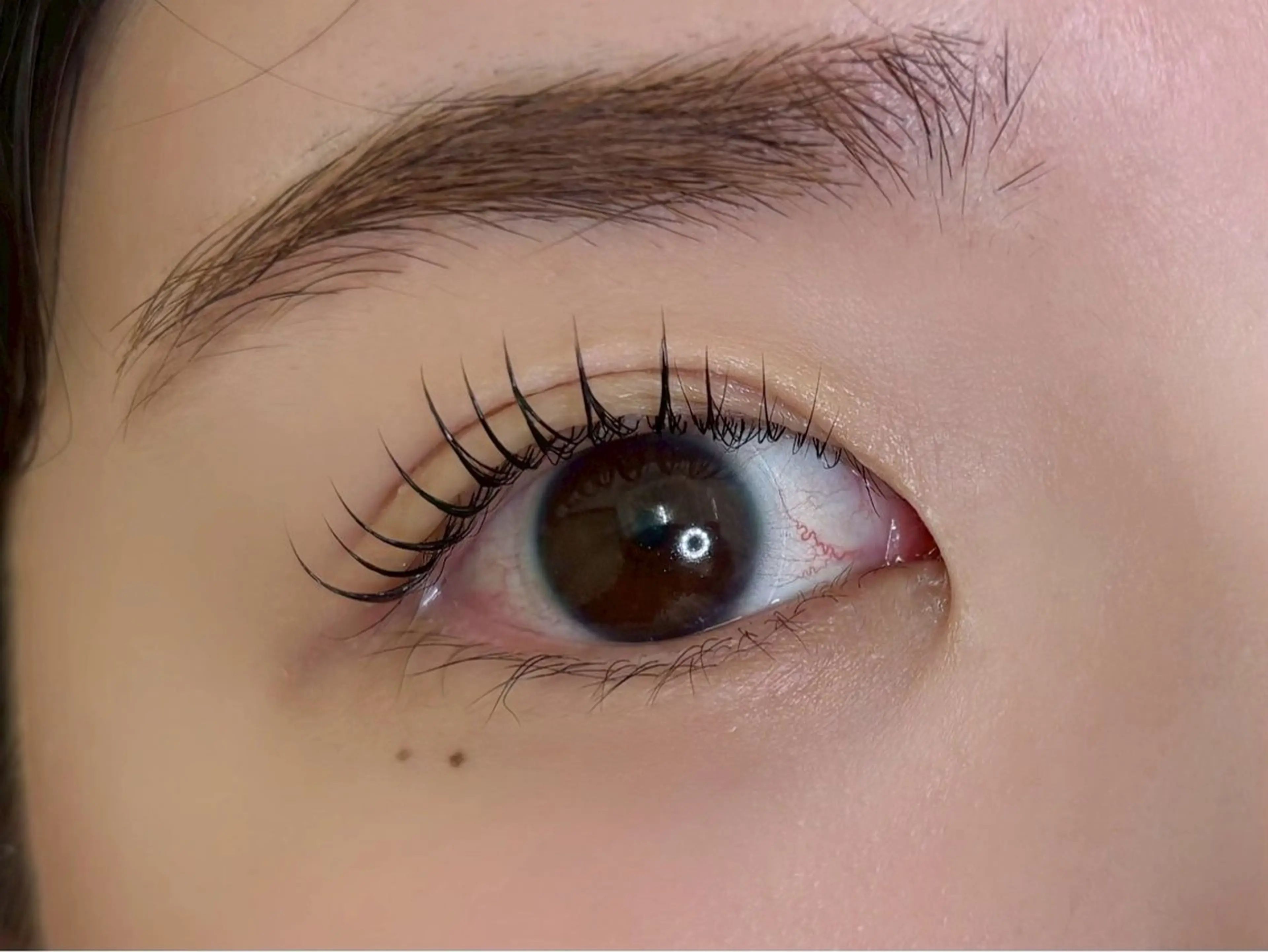 【限定🎀】下まつげと上まつ毛モデル募集🫧上パーマ+下パリジェンヌ/パリジェンヌ上下・上韓国パーマ+下パリジェンヌ🫧の写真