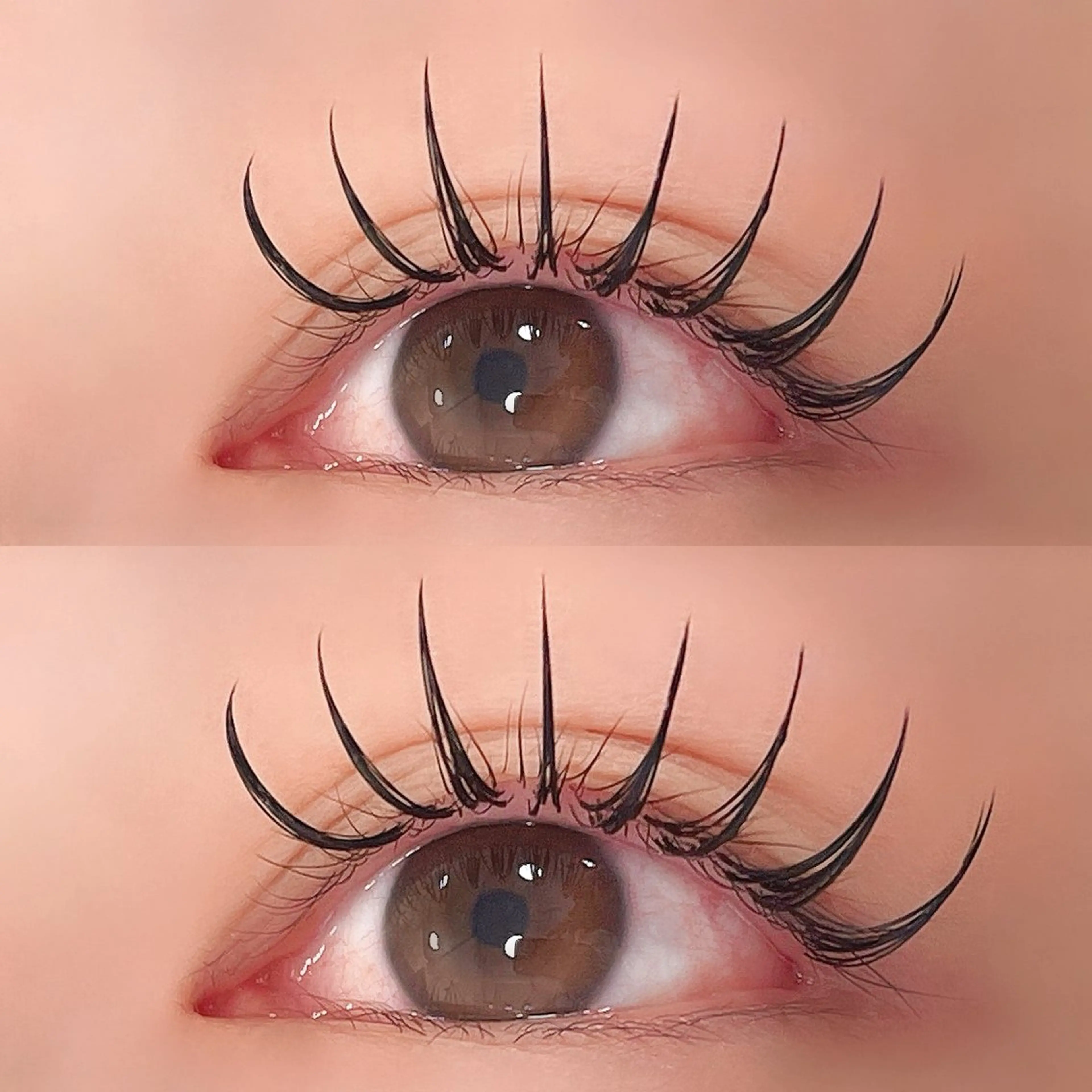 バインドロック　80束の写真