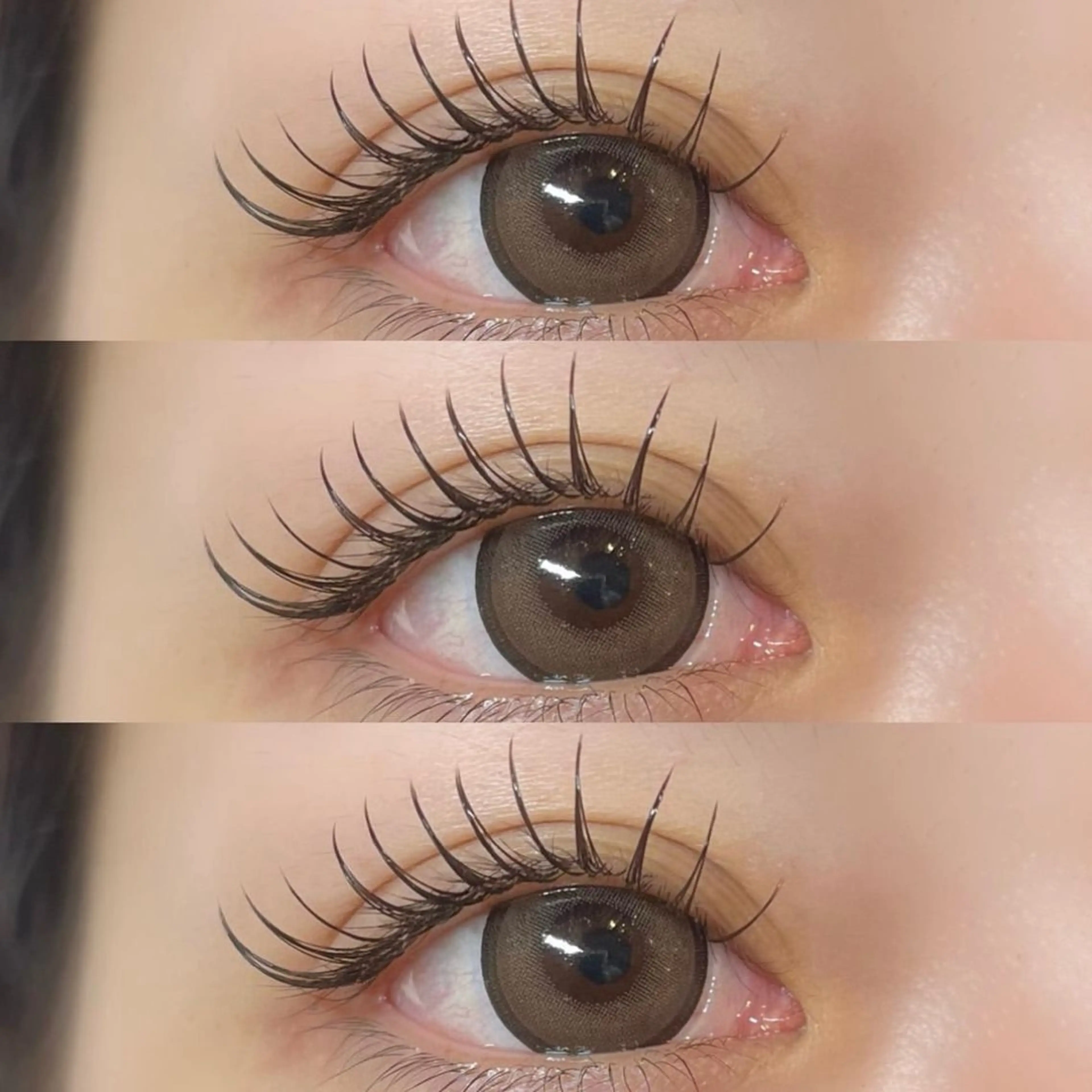 バインドロック🌷（100束）の写真