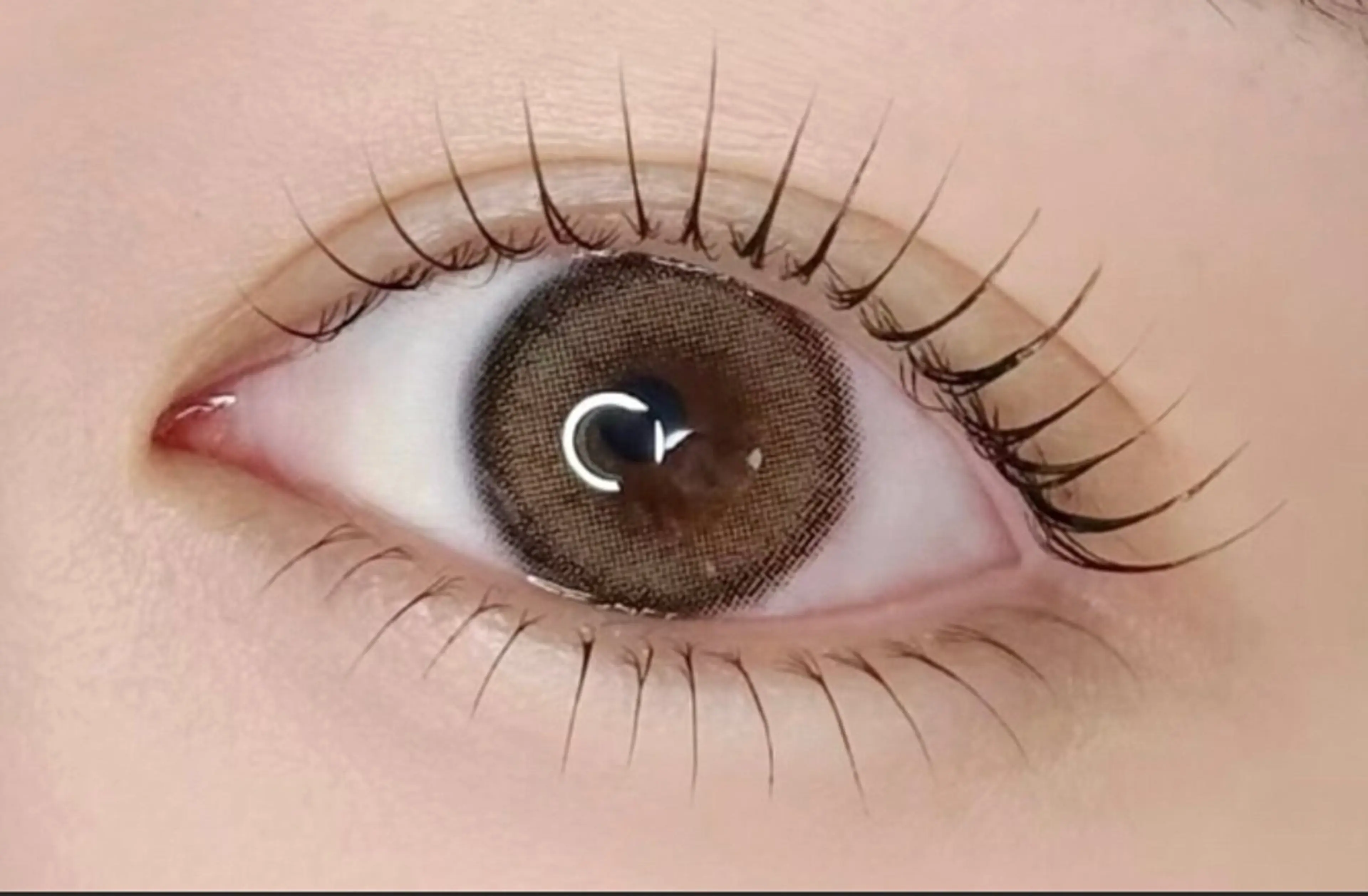 ケラチンラッシュリフト上下　（13時から18時までのみ）の写真