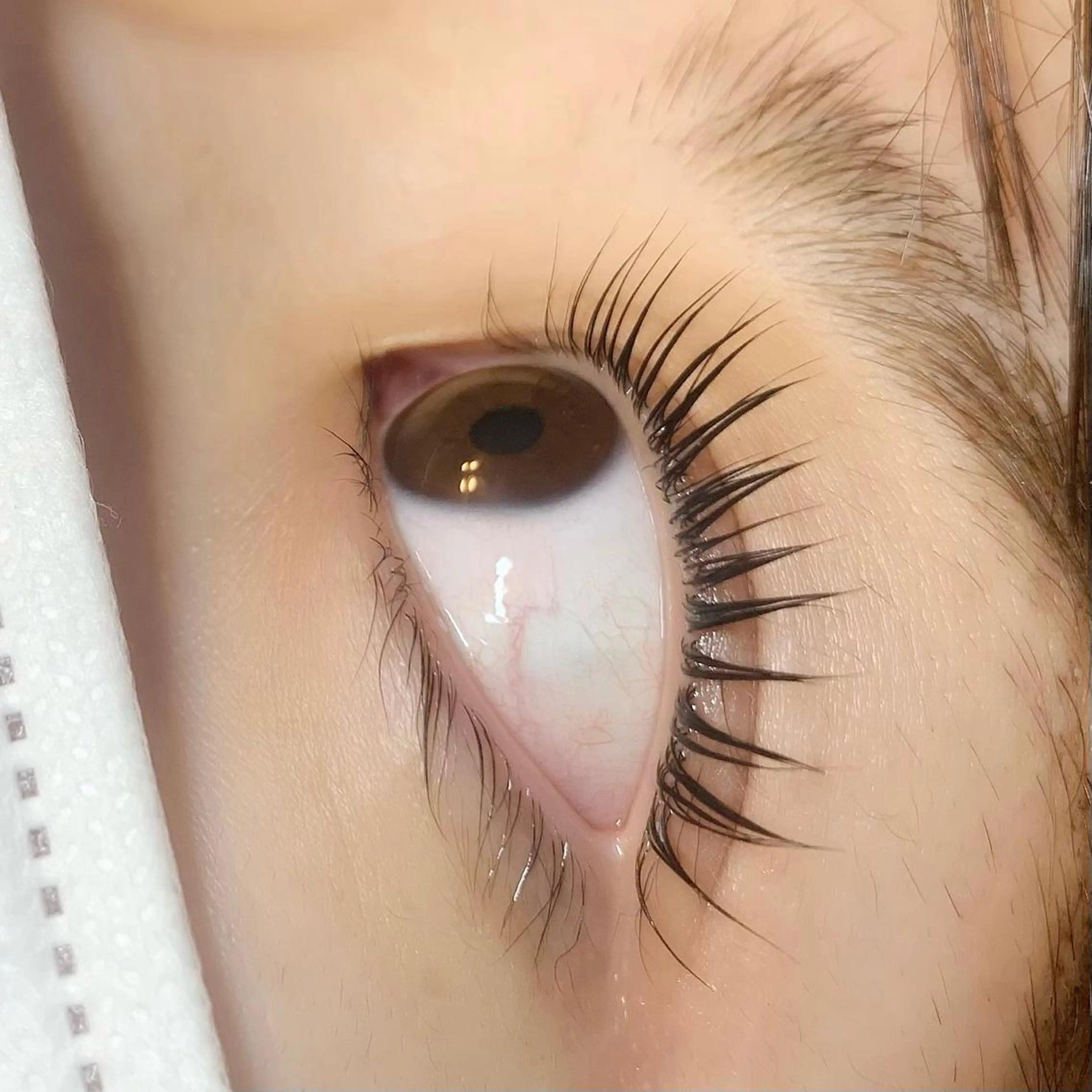 マツエク・マツパ パリジェンヌラッシュリフト 🧸Celeste Venusのマツエク・マツパデザイン