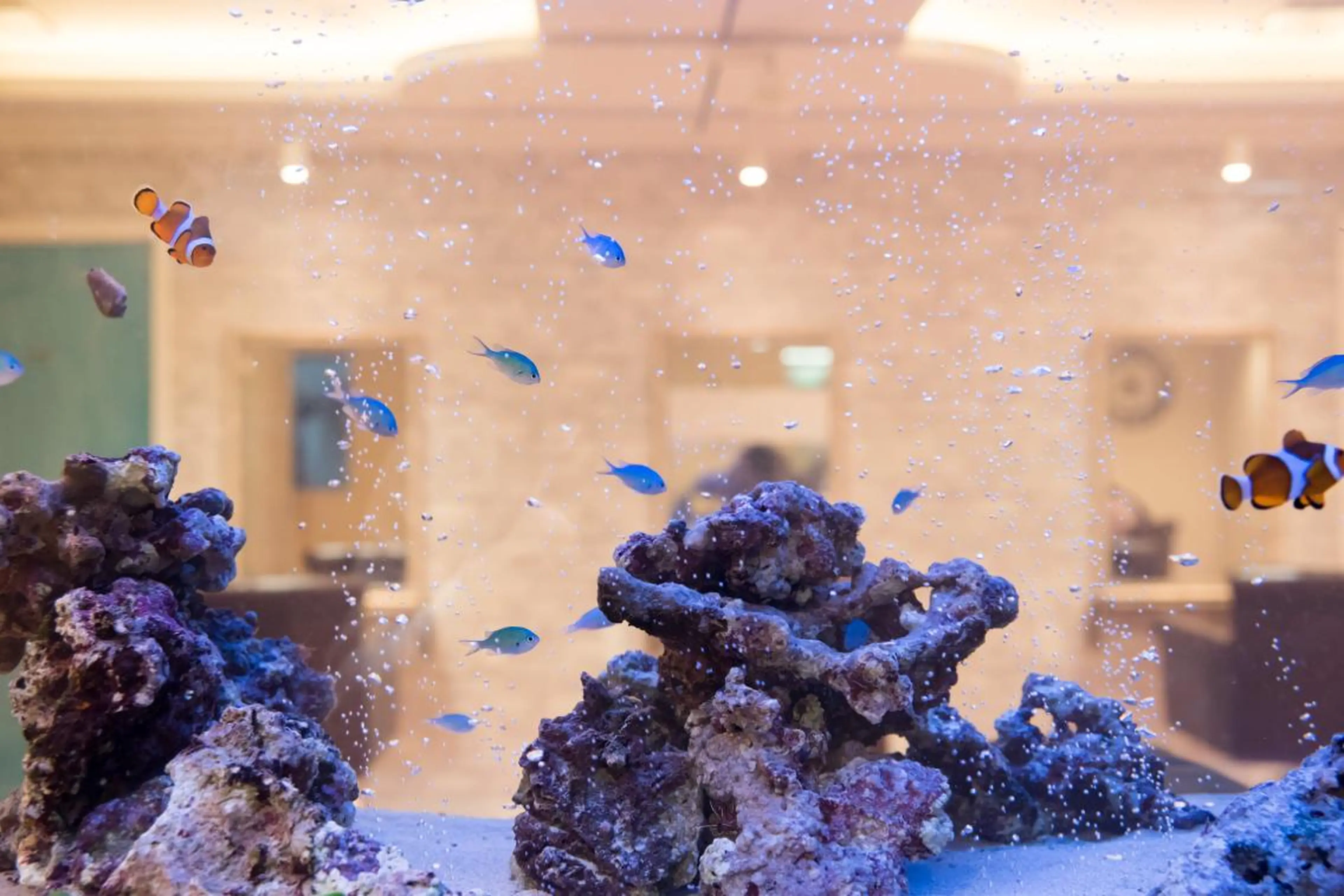 アオガミ （前髪顔周りカット）のヘアスタイル